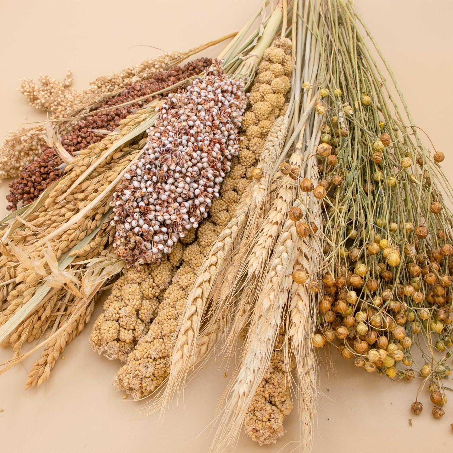 Decoración Natural para Hámsters NICERINC - Granos y Hierbas 422g