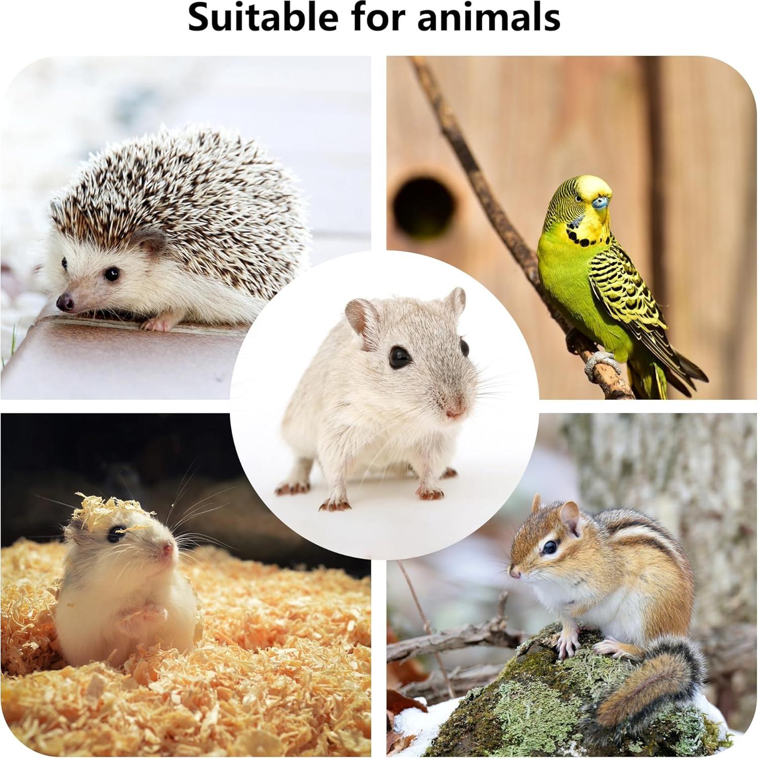 Plataforma de Madera para Hámster DVHEY 31.75x22.86cm