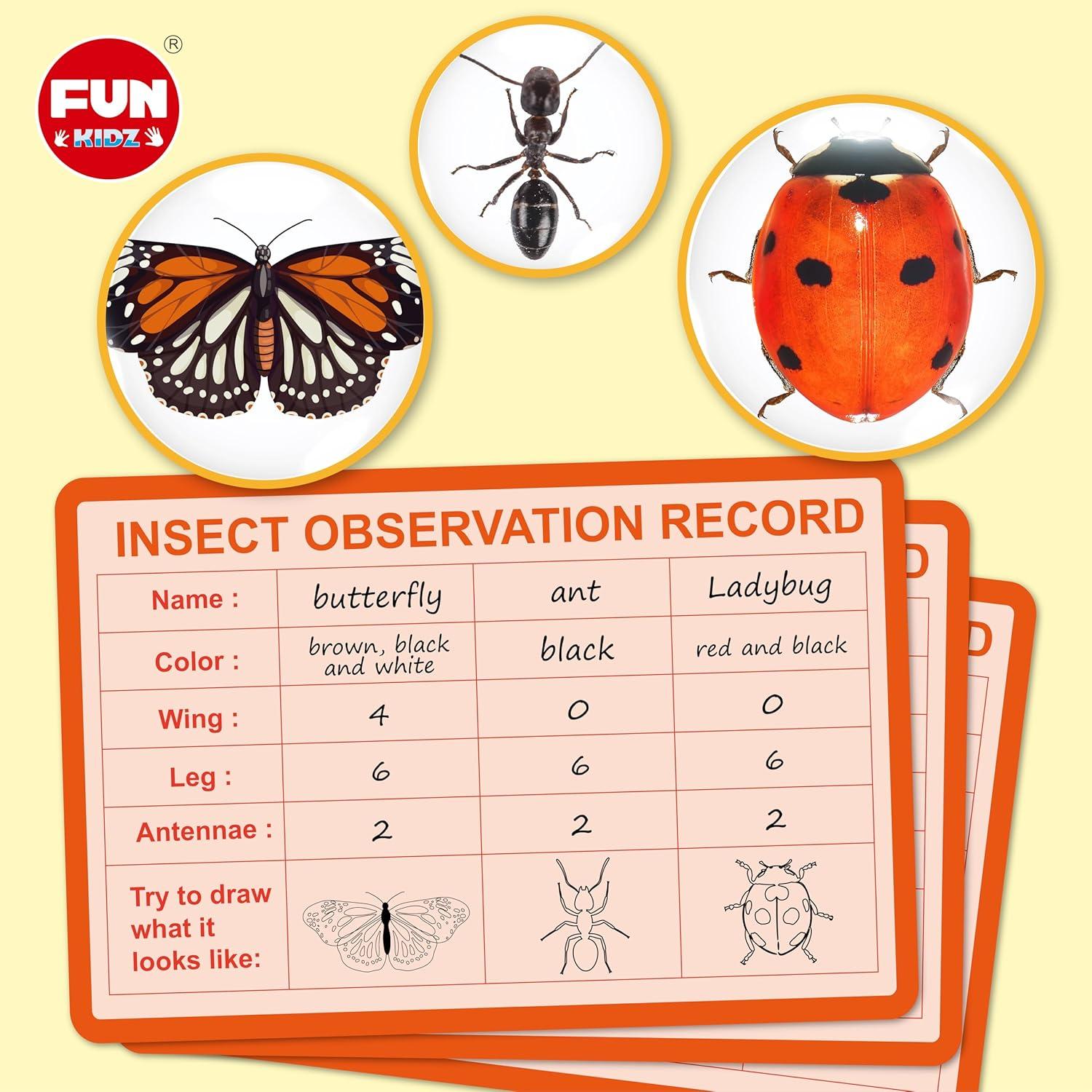 Kit de Captura de Insectos Funkidz con Visor Ampliado para Niños
