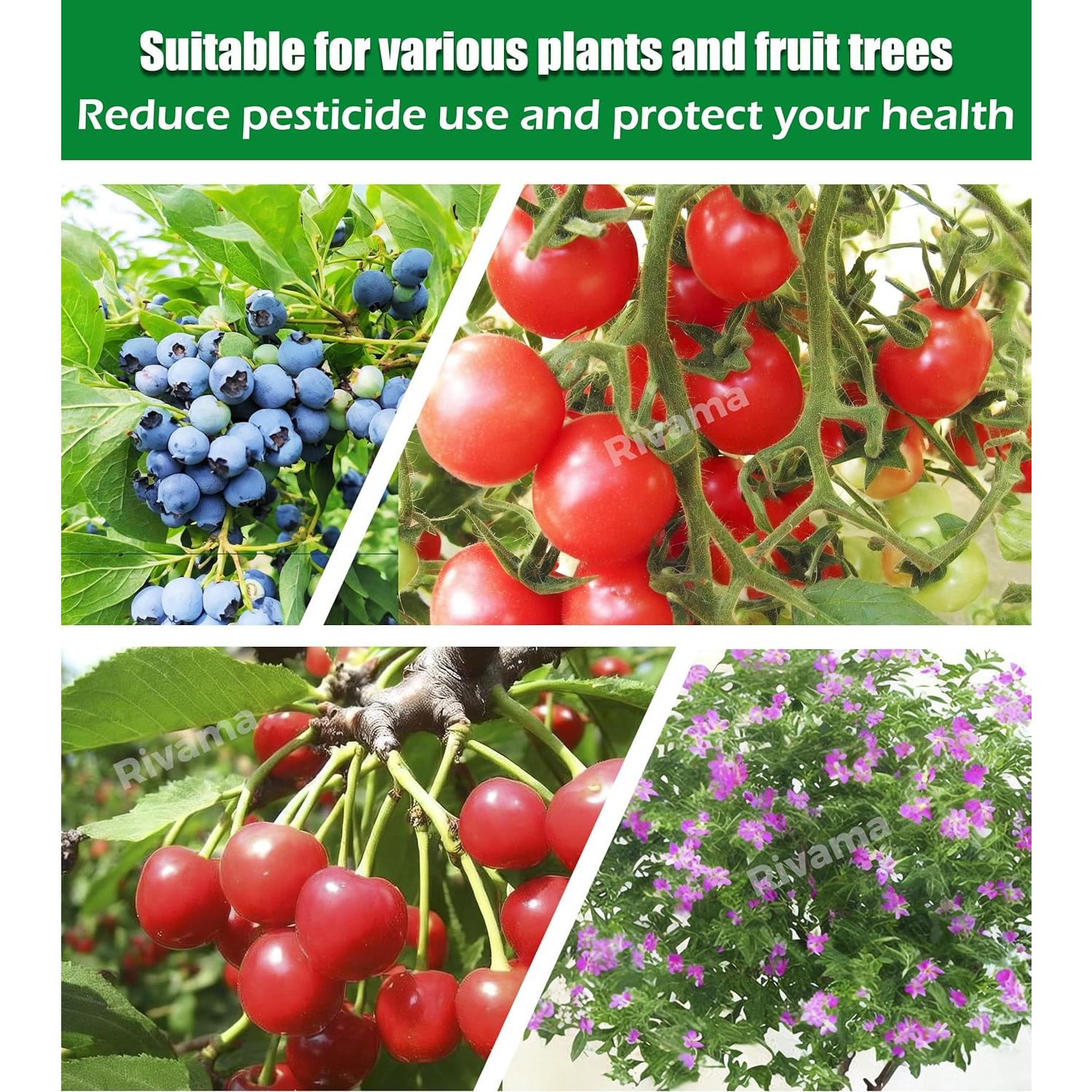 Malla para Insectos Jardín Rivama 3x6 m Barrera Plagas