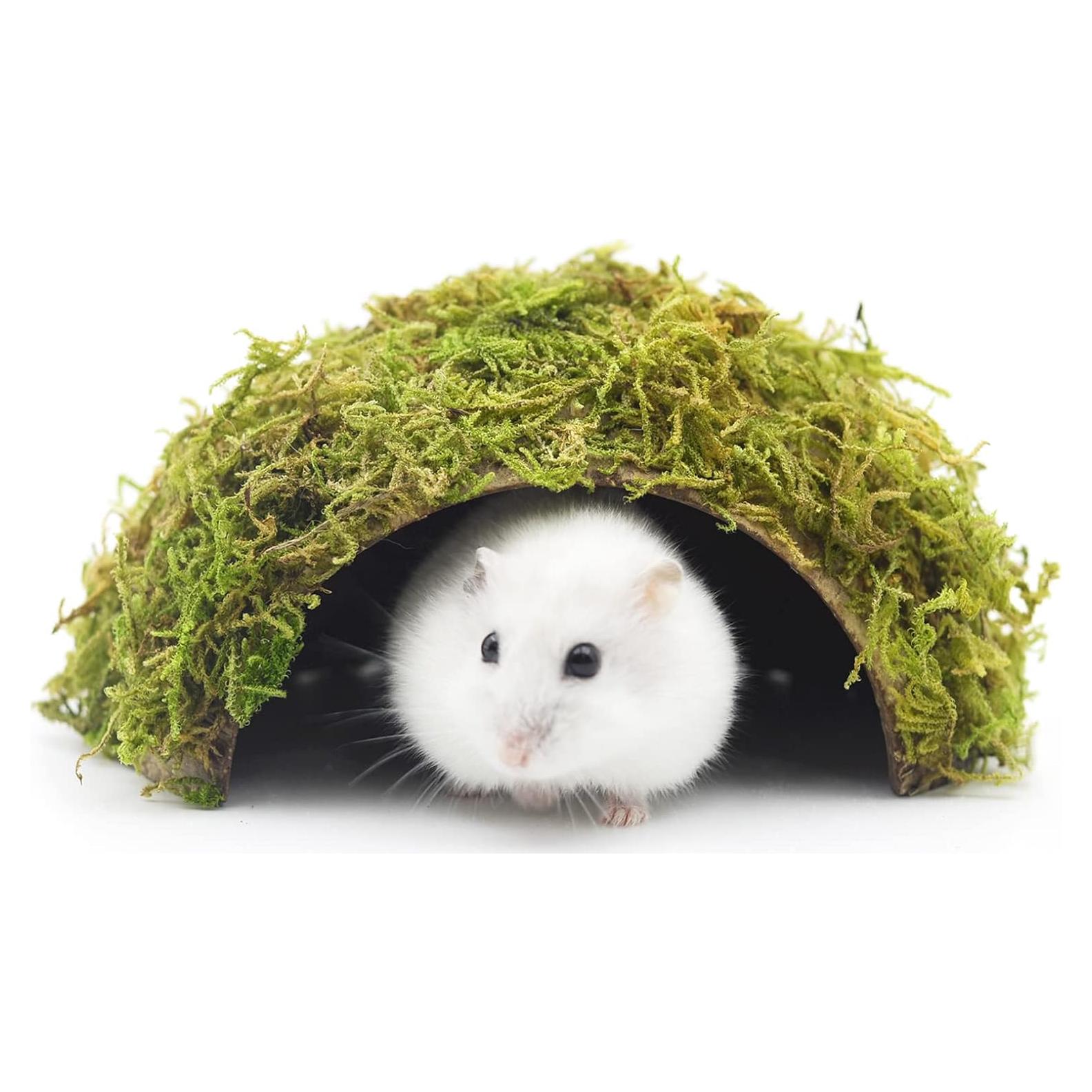 Escondite para Hámster SanmooAio Pequeño 12x14.5cm Ecológico