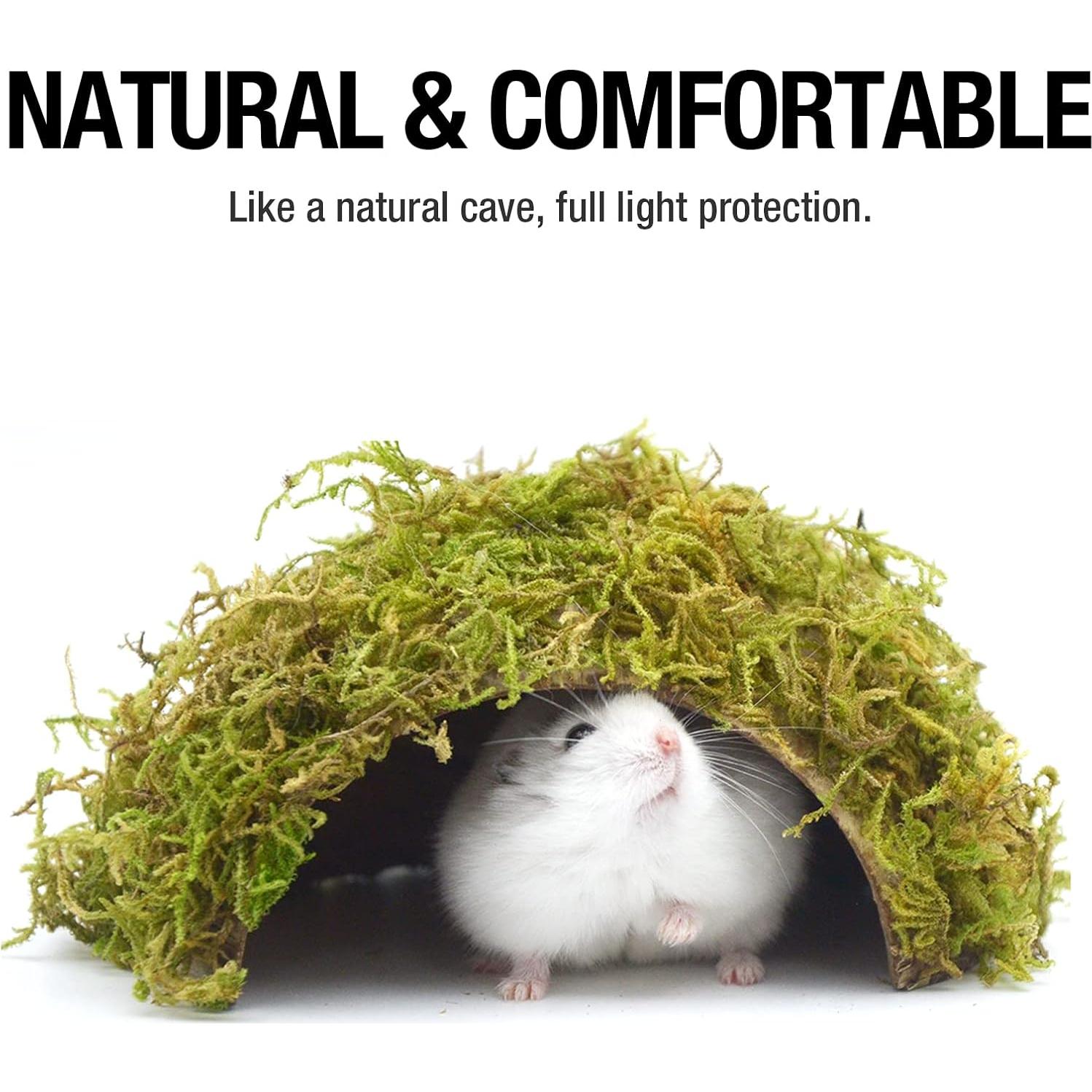 Escondite para Hámster SanmooAio Pequeño 12x14.5cm Ecológico