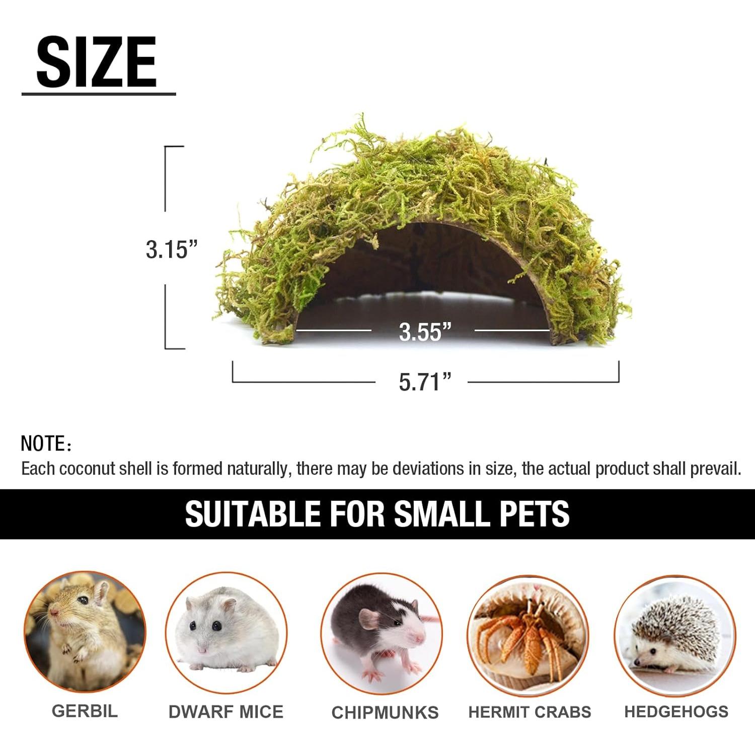 Escondite para Hámster SanmooAio Pequeño 12x14.5cm Ecológico