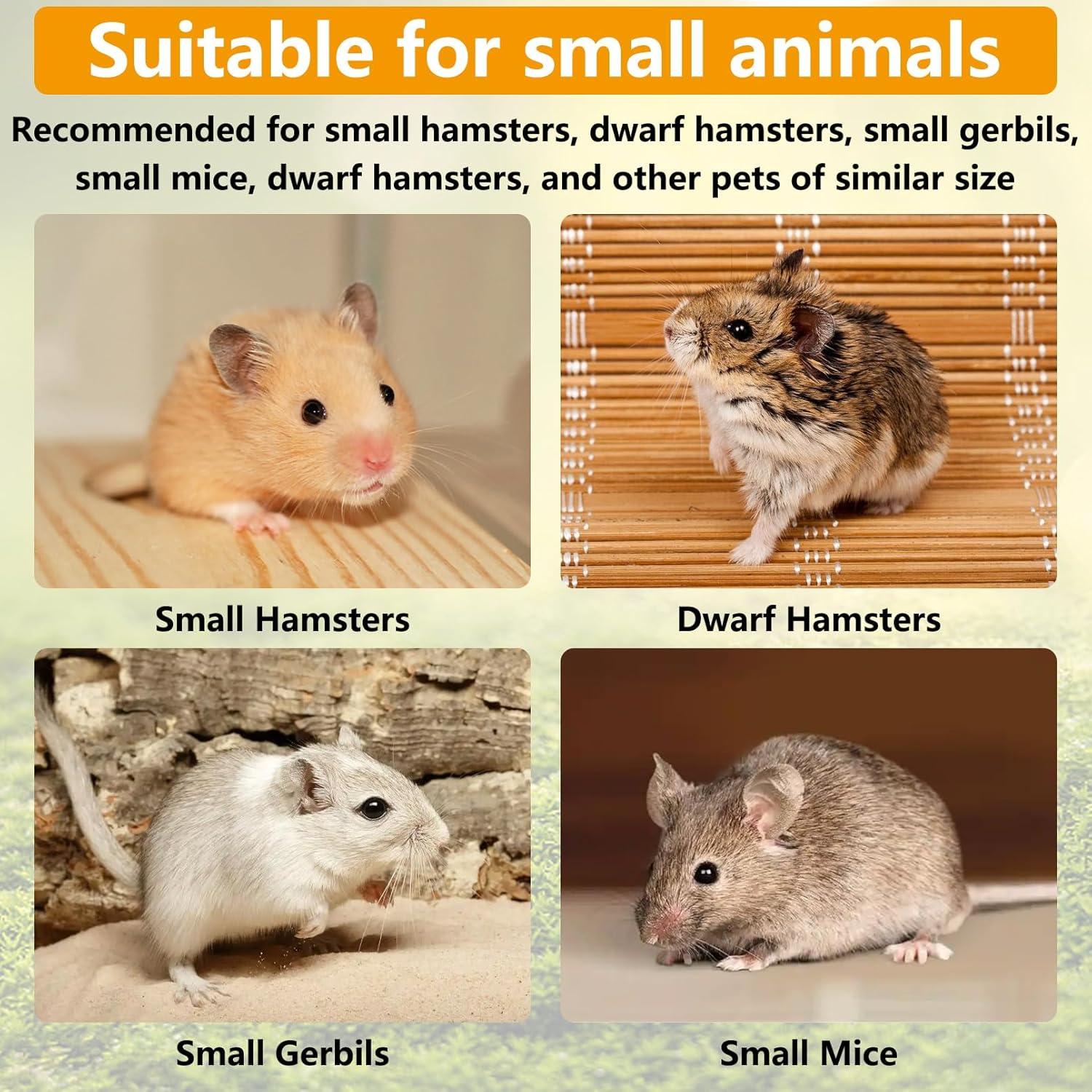 Rueda de Hámster de Madera Hamiledyi 19 cm Silenciosa