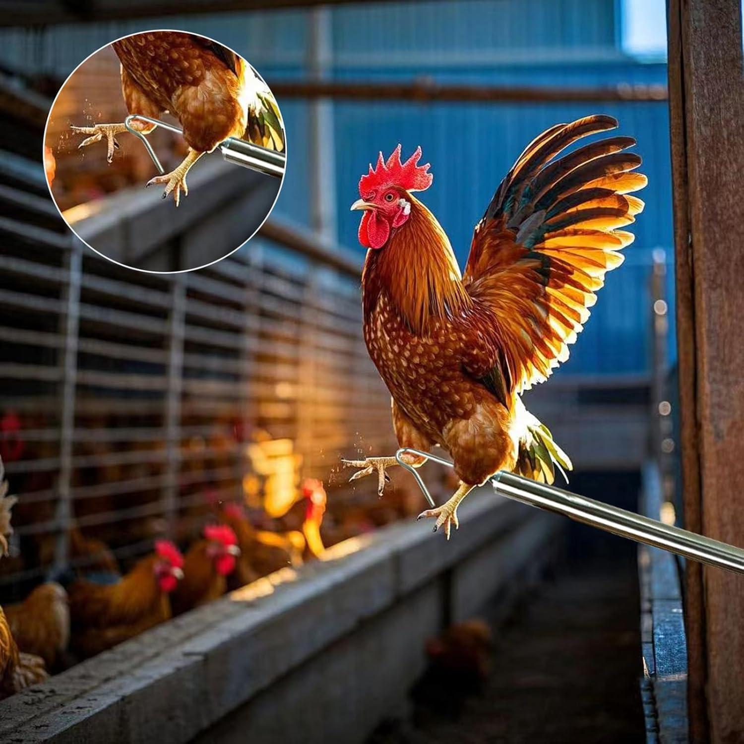 Red para atrapar pollos BRZFWLMYDF de acero inoxidable 45.2x18.3 cm