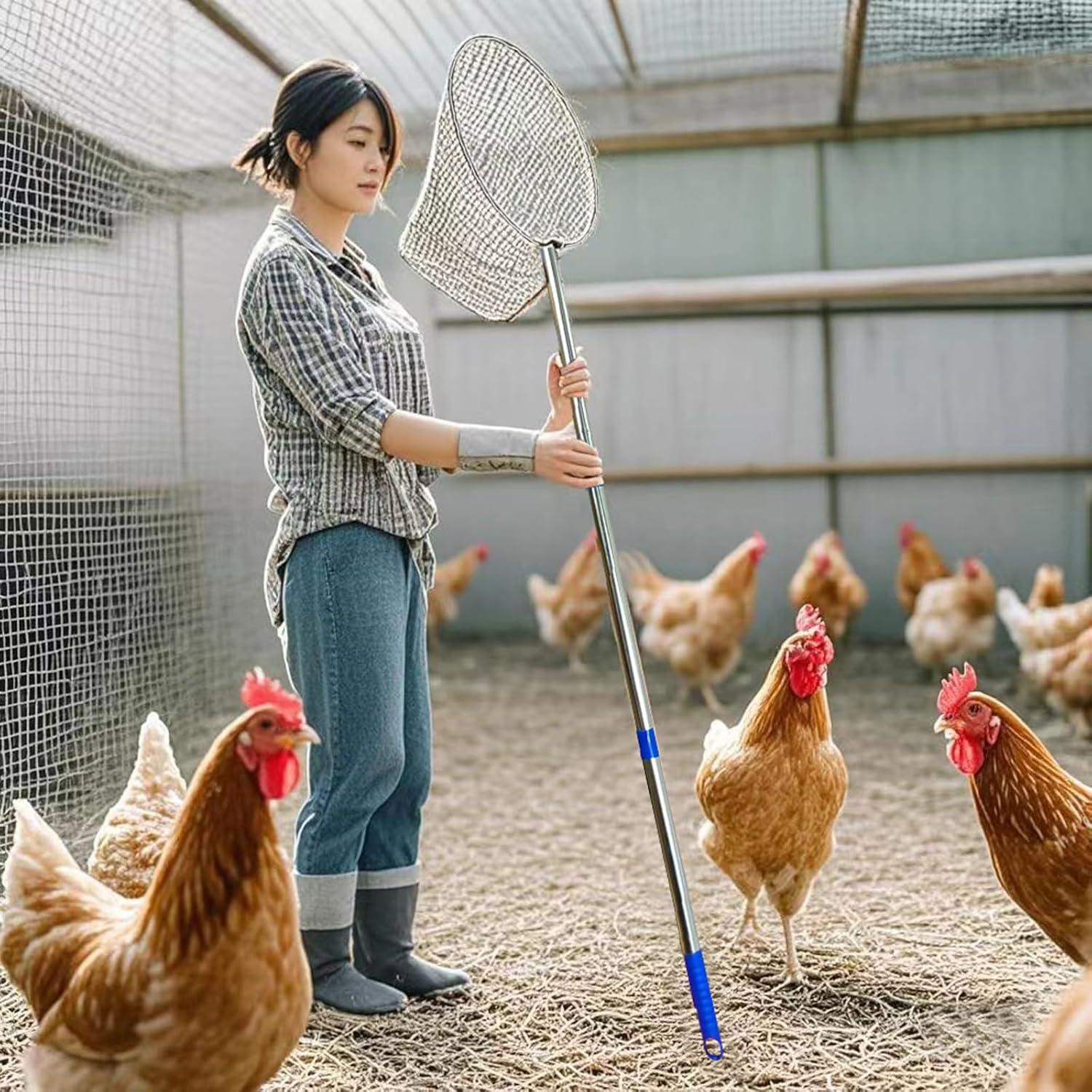 Red para atrapar pollos BRZFWLMYDF de acero inoxidable 45.2x18.3 cm