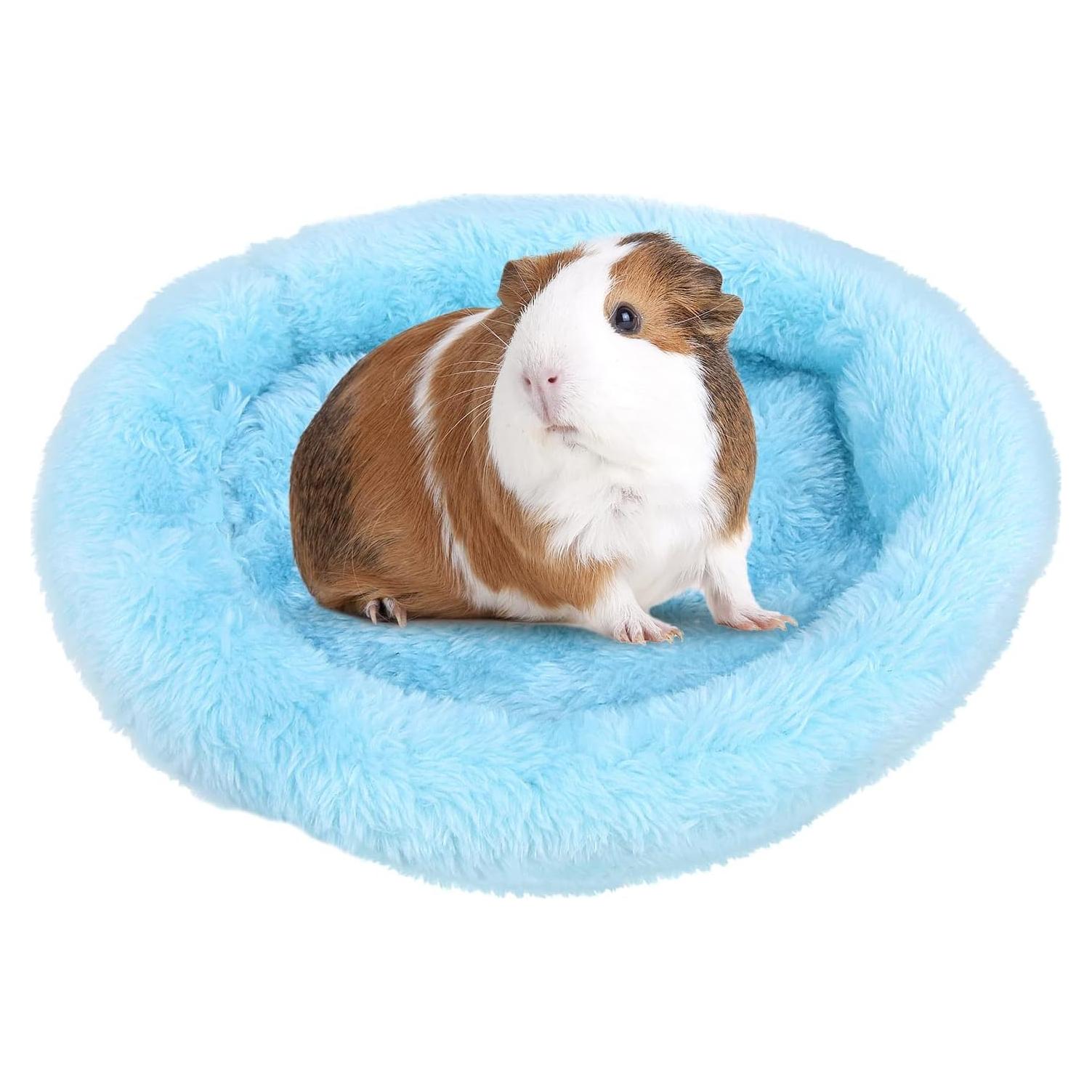 Cama para Cobayas y Hámsters FEBSNOW 17.78 cm Azul