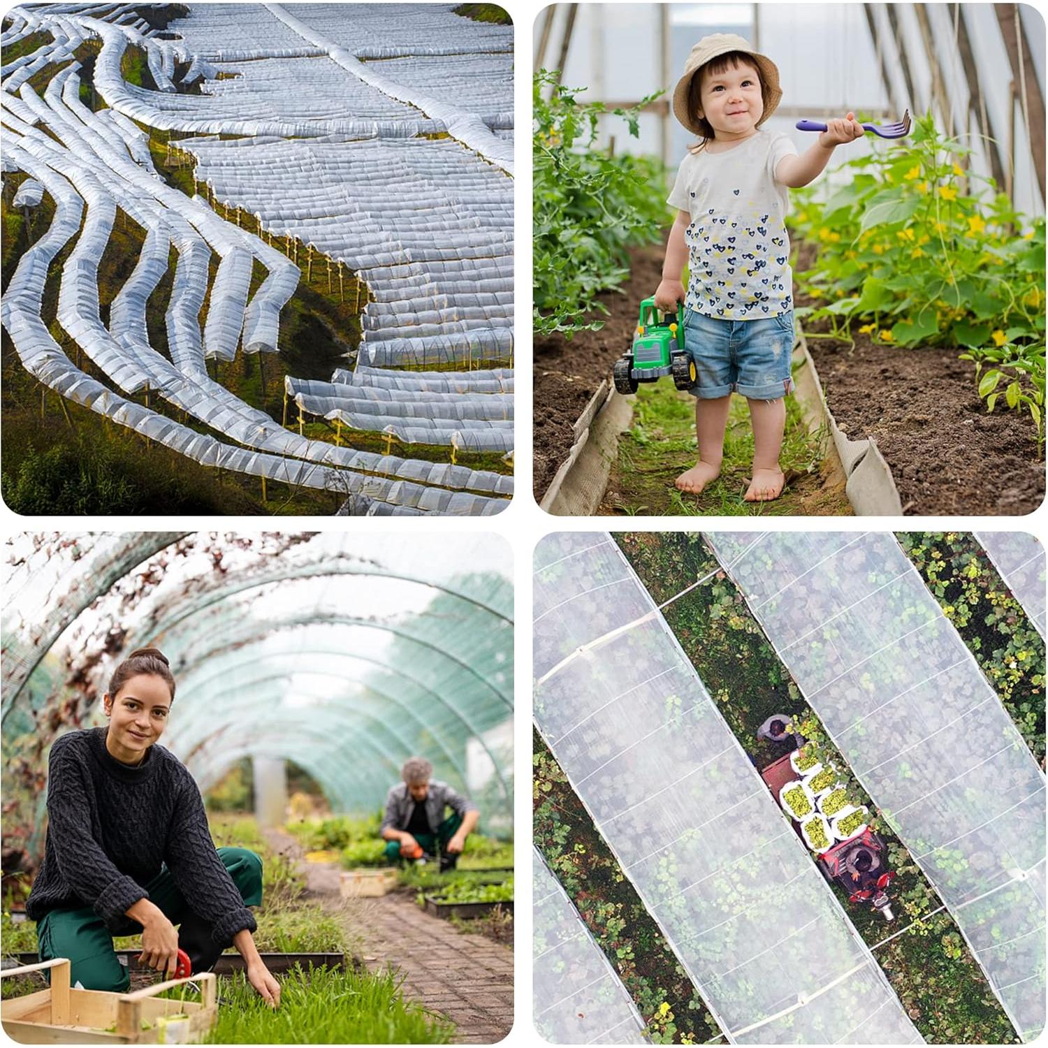 Malla de Barrera para Insectos Alpurple 6.1x3.0m Jardín