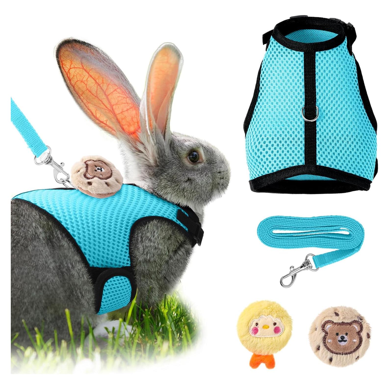 Conjunto Arnés y Correa para Conejos Bunnycool Azul Claro