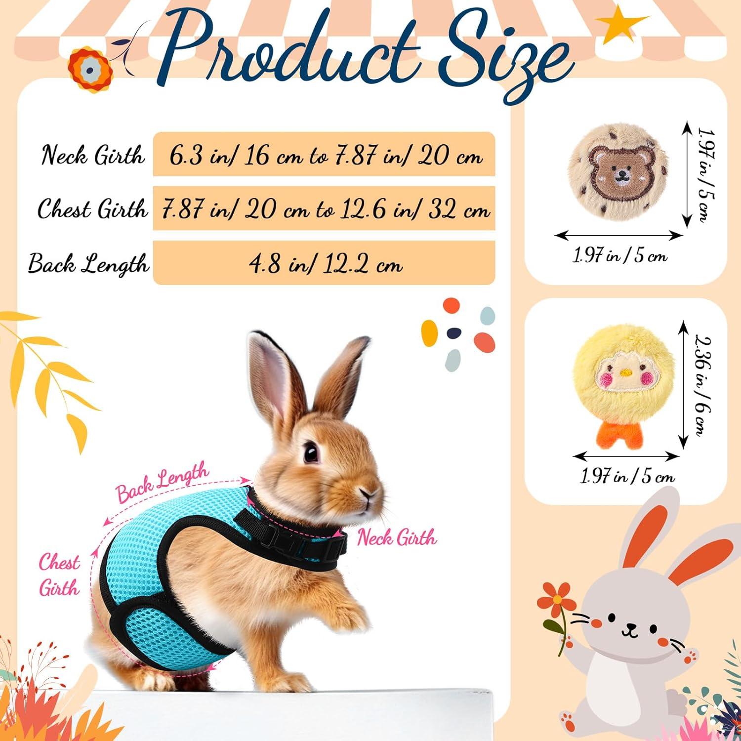 Conjunto Arnés y Correa para Conejos Bunnycool Azul Claro