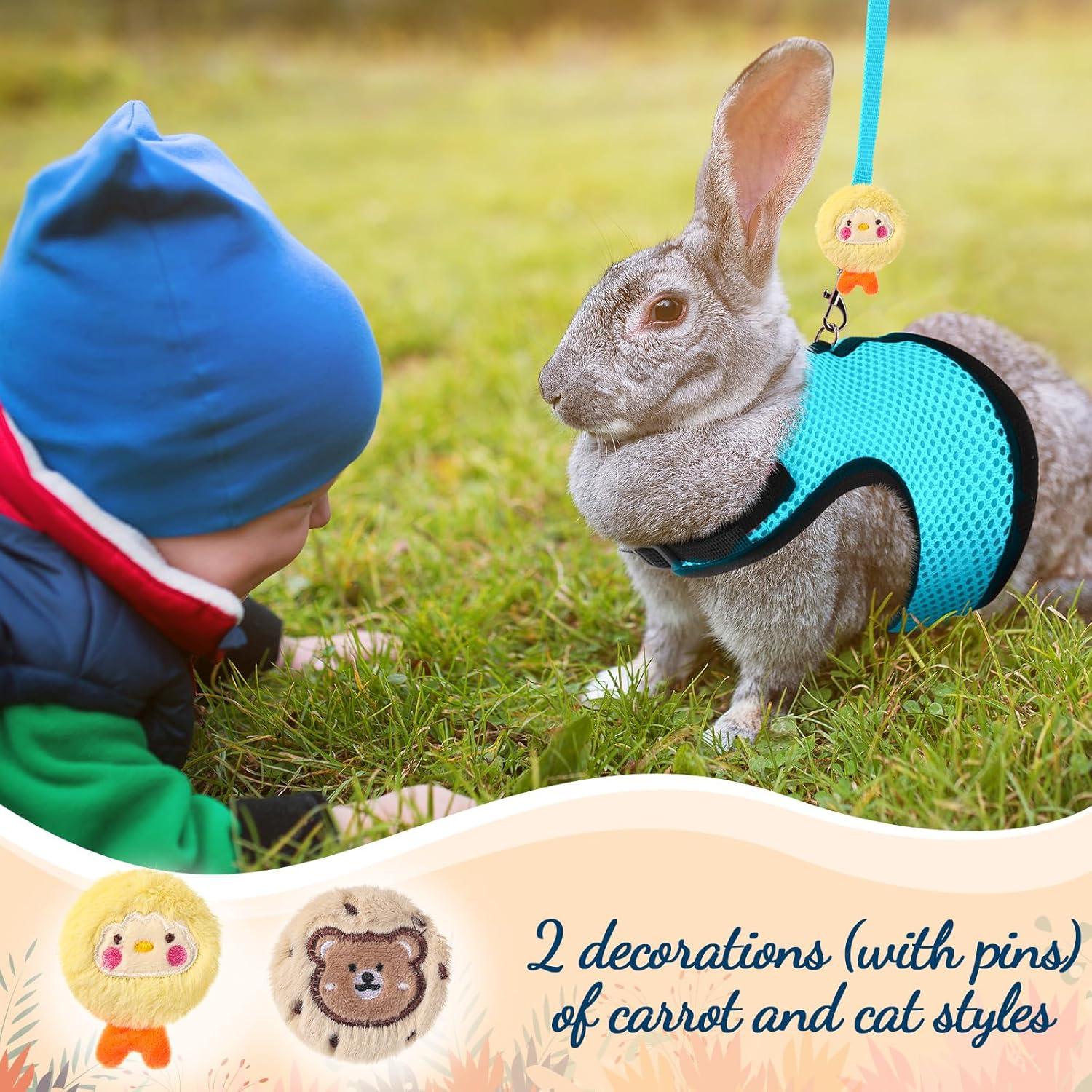 Conjunto Arnés y Correa para Conejos Bunnycool Azul Claro