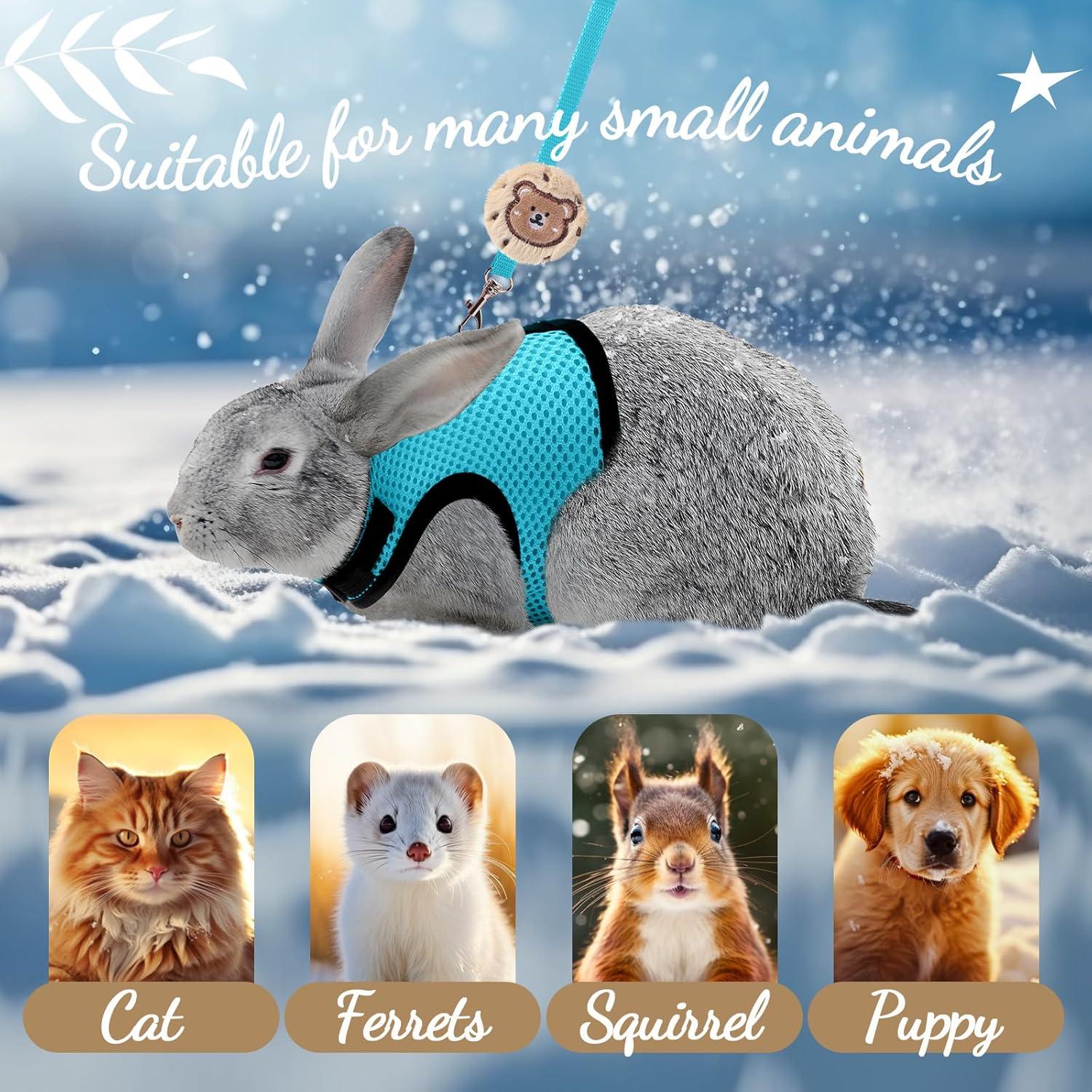 Conjunto Arnés y Correa para Conejos Bunnycool Azul Claro