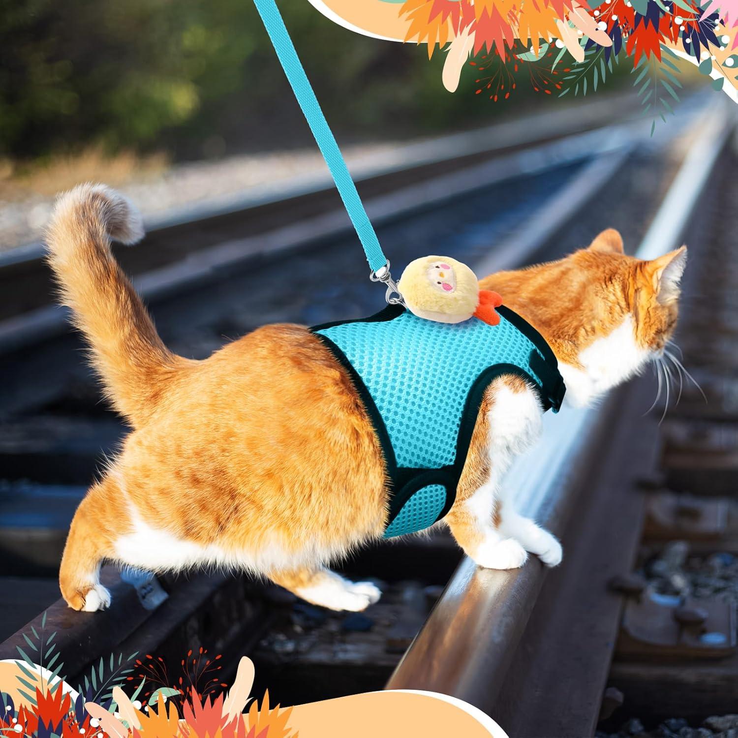 Conjunto Arnés y Correa para Conejos Bunnycool Azul Claro