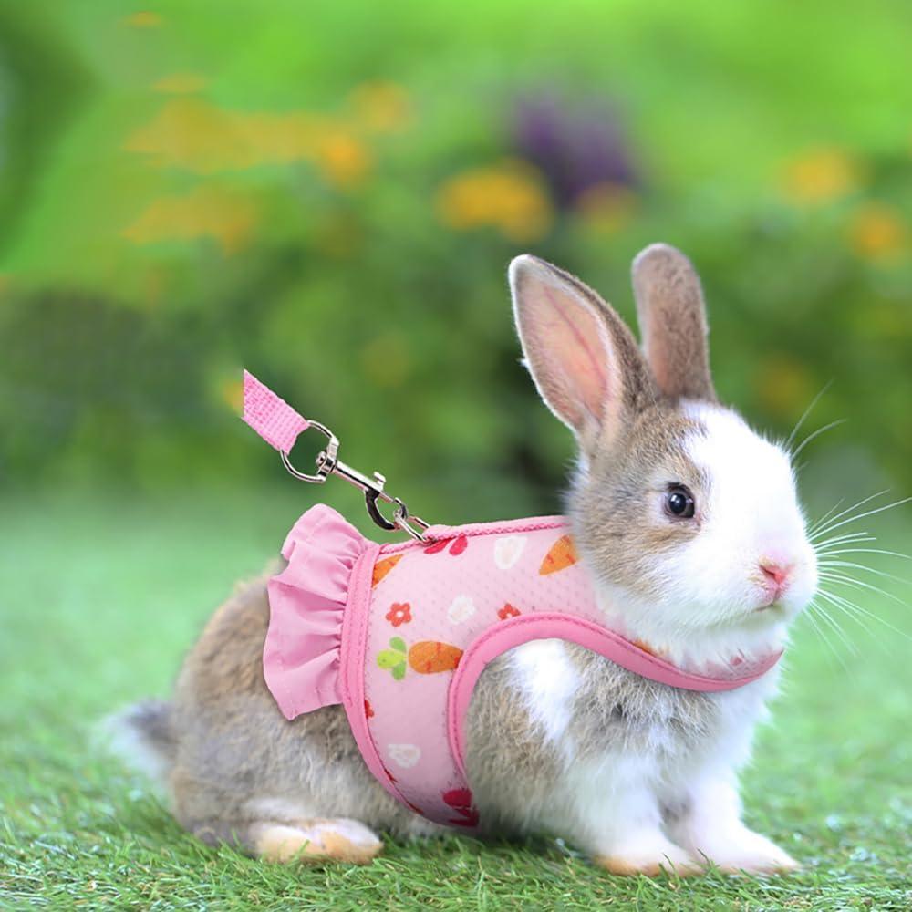 Conjunto Arnés Correa Sombrero Noppiku para Animales Pequeños