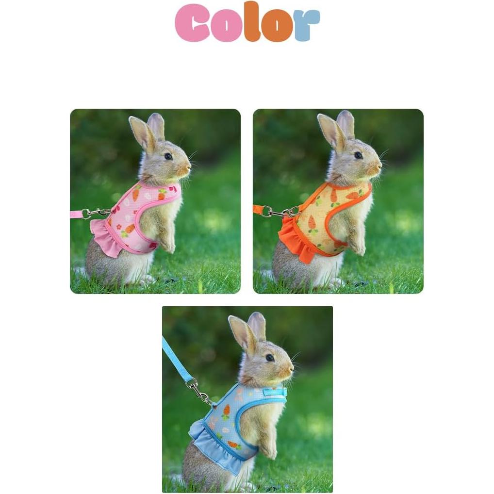 Conjunto Arnés Correa Sombrero Noppiku para Animales Pequeños