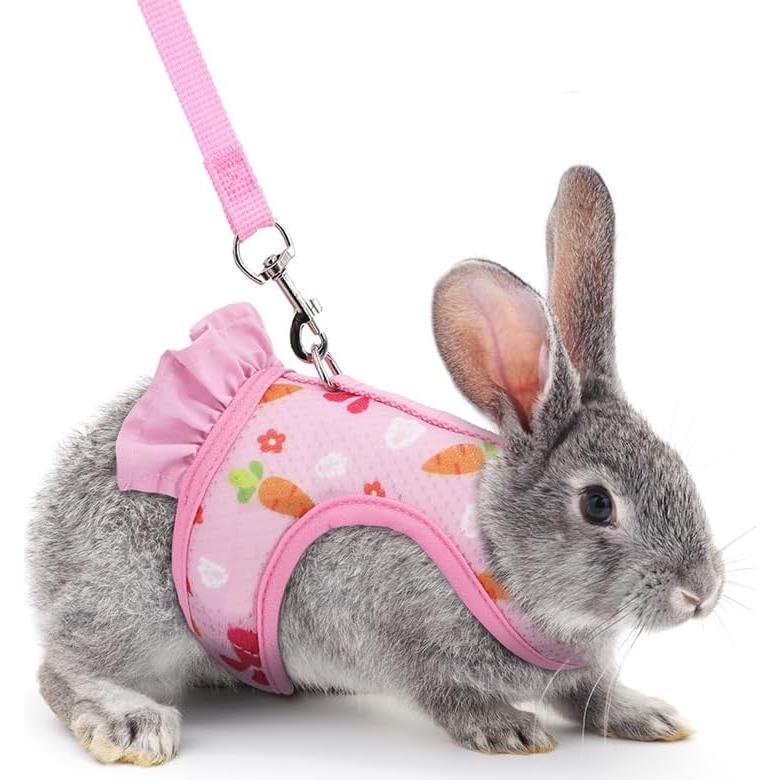 Conjunto Arnés Correa Sombrero Noppiku para Animales Pequeños