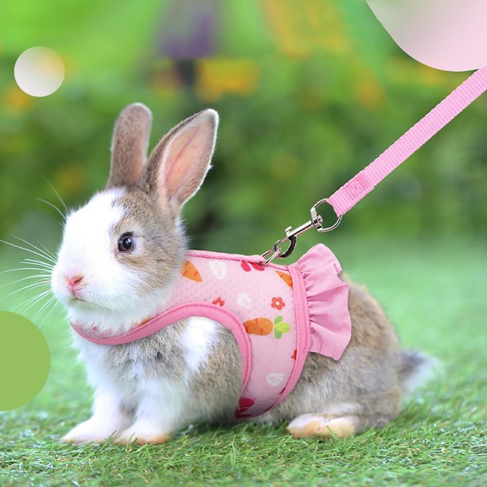 Conjunto Arnés Correa Sombrero Noppiku para Animales Pequeños