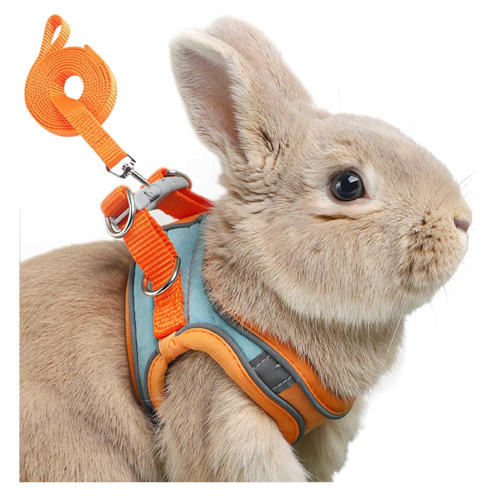 Arnés Ajustable para Conejo SQUSIMEI con Tira Reflectante - S