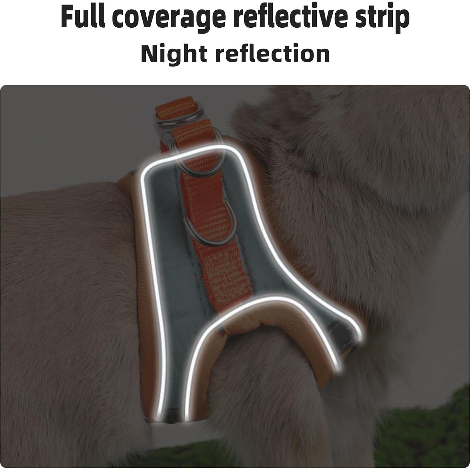 Arnés Ajustable para Conejo SQUSIMEI con Tira Reflectante - S