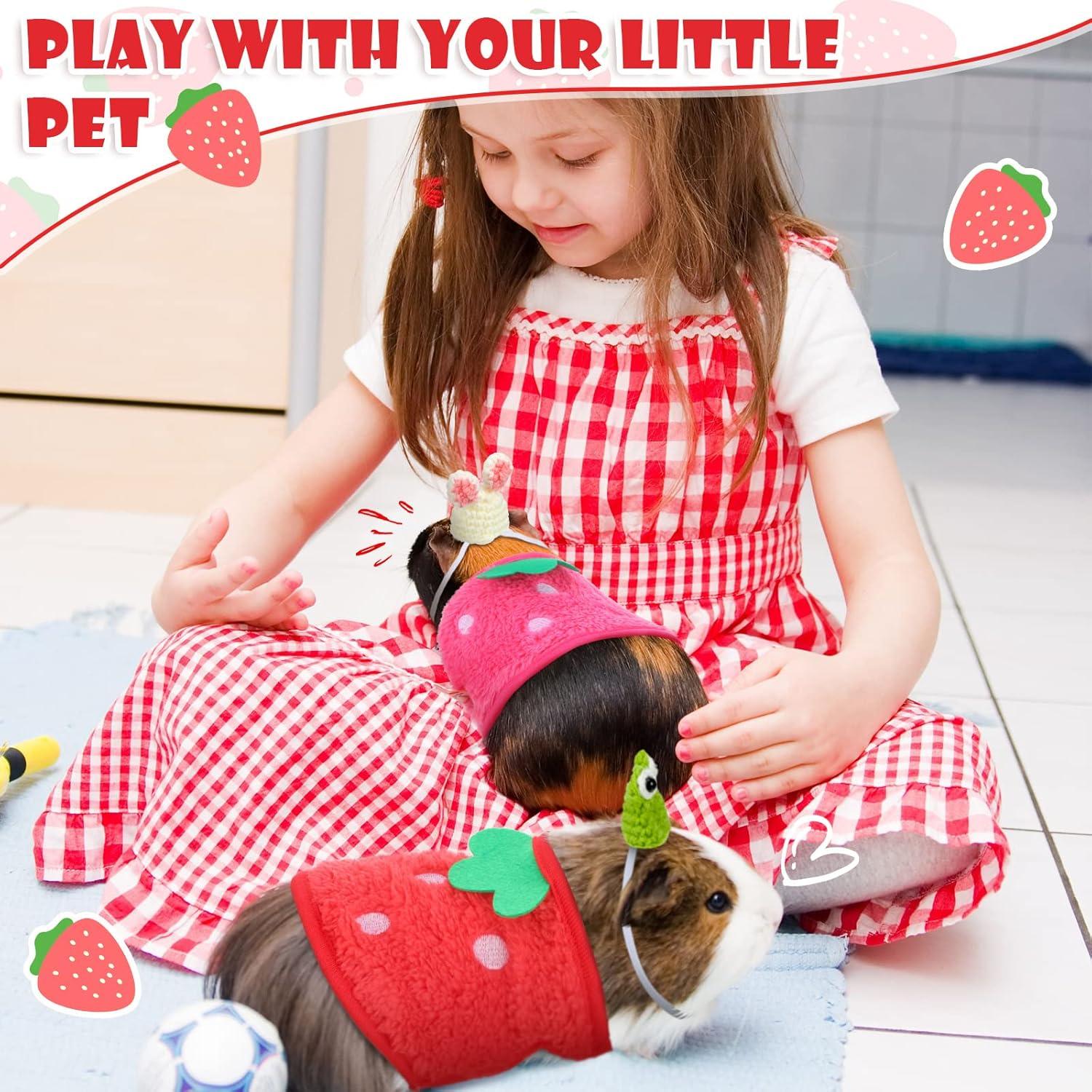 Ropa para Cobayas Mixweer - 4 Piezas con Sombreros Mini