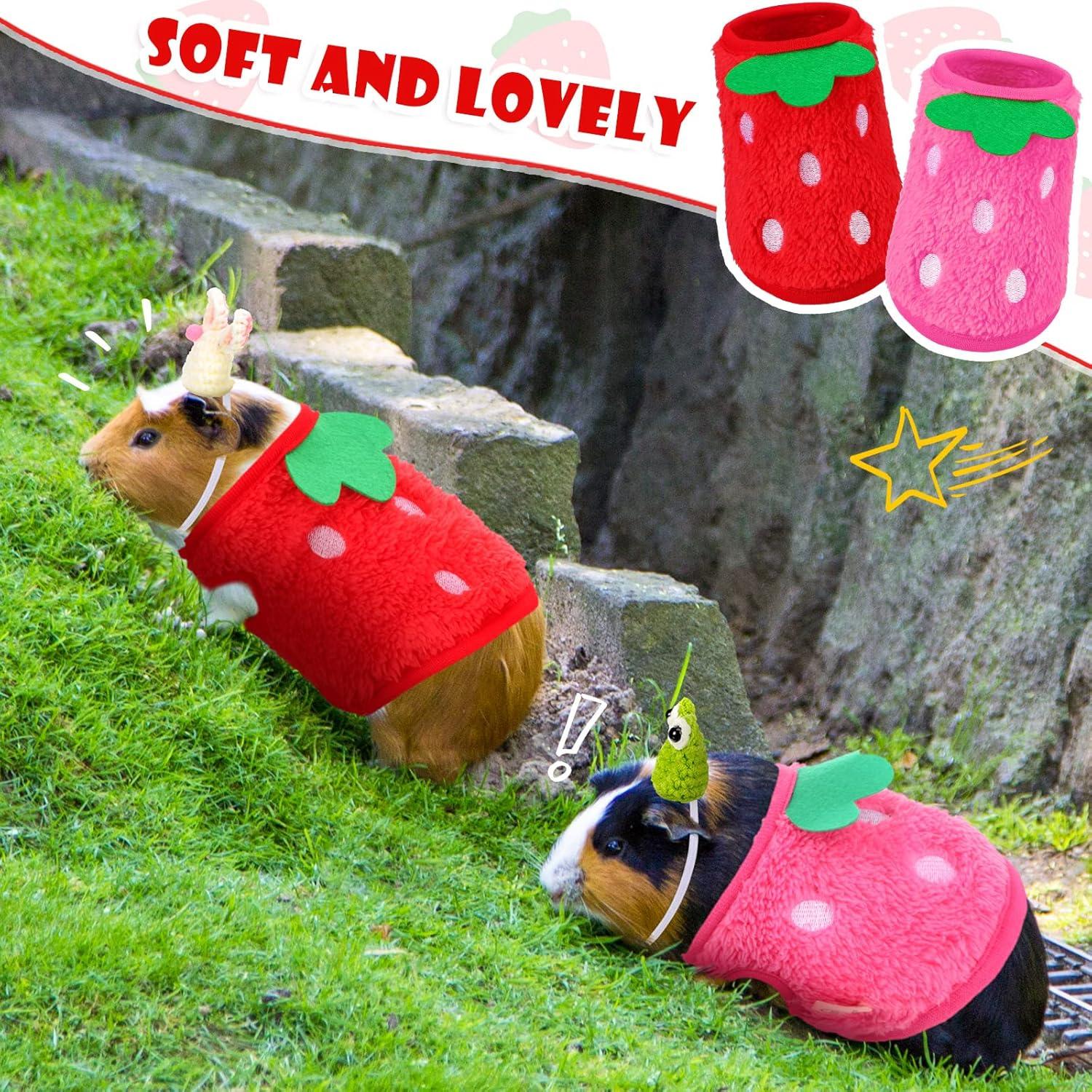 Ropa para Cobayas Mixweer - 4 Piezas con Sombreros Mini