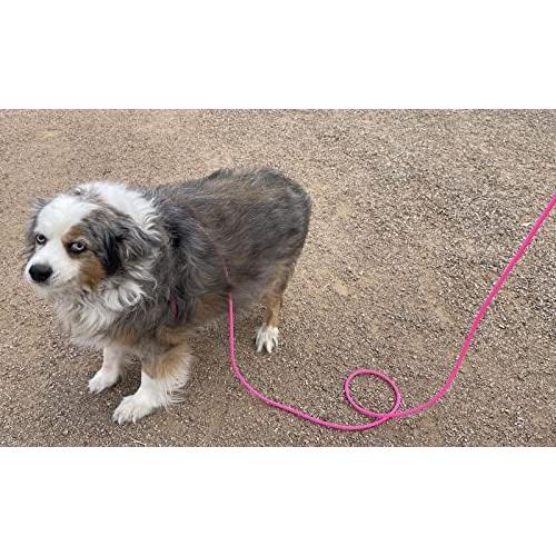 Arnés Ajustable para Mini Cerdo y Mascotas - AZ Micro Mini Pigs