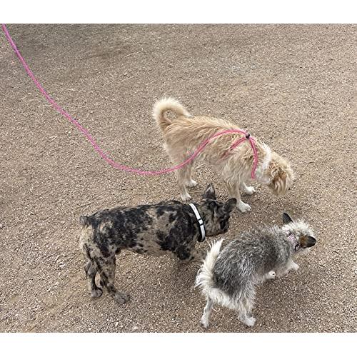 Arnés Ajustable para Mini Cerdo y Mascotas - AZ Micro Mini Pigs