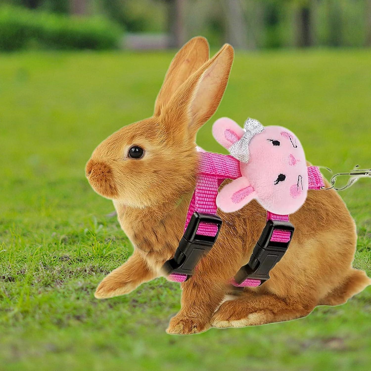 Juego de 4 Arnés y Correa Ajustable para Mascotas Pequeñas