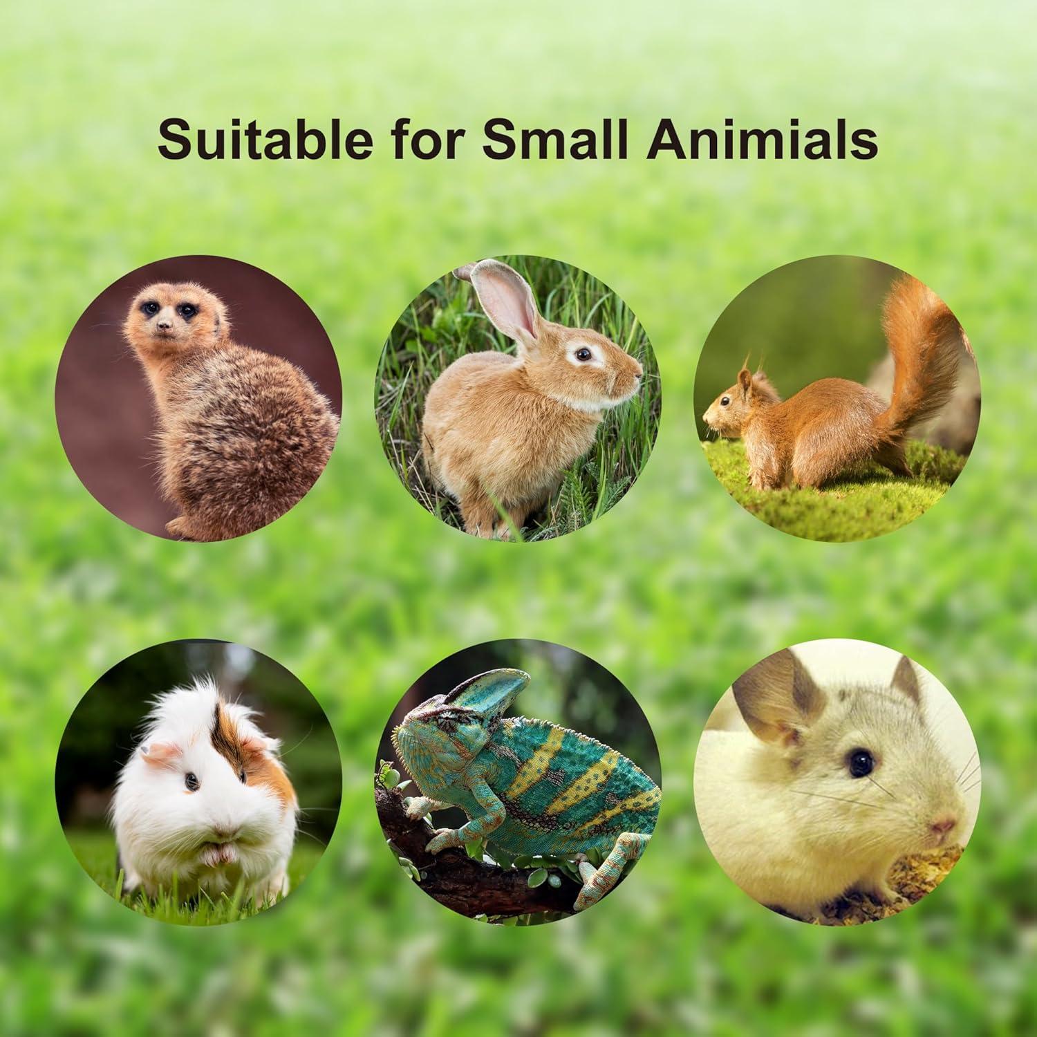 Arnés y Correa Reflectante Gagiland para Mascotas Pequeñas