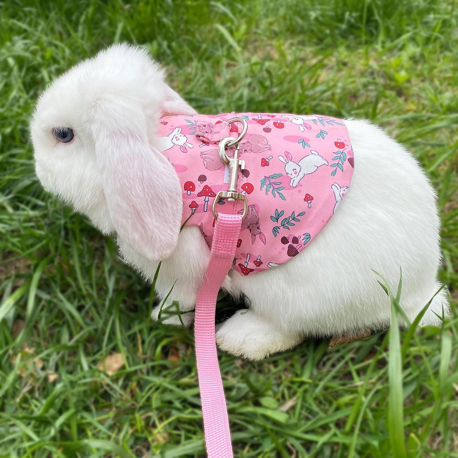 Juego de Arnés y Correa Wallspet para Conejos y Mascotas Pequeñas