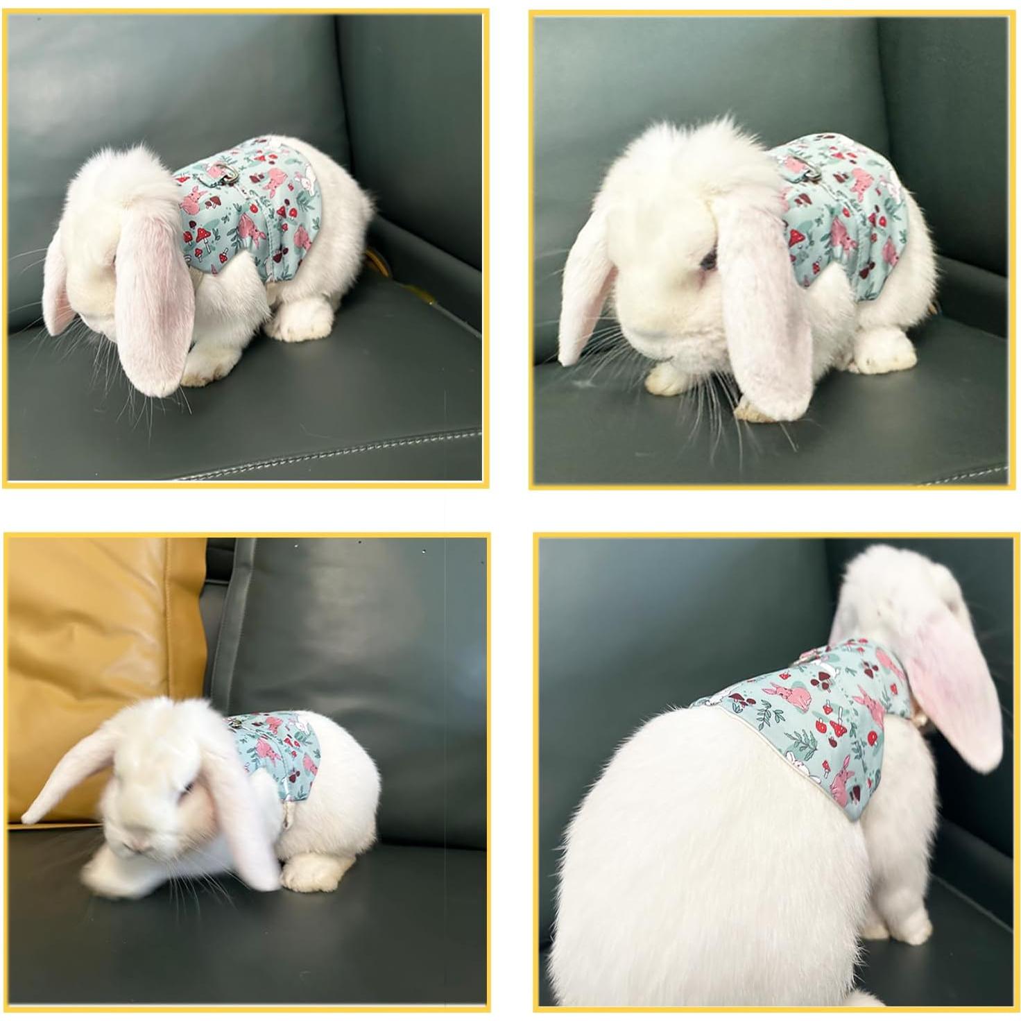 Juego de Arnés y Correa Wallspet para Conejos y Mascotas Pequeñas