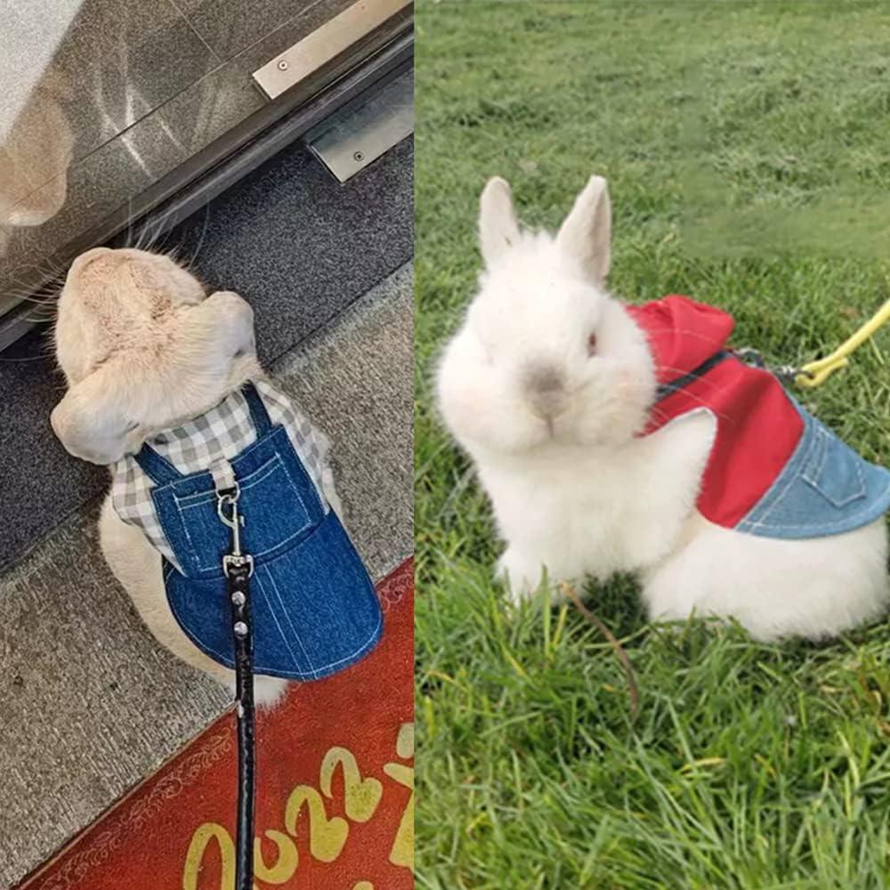 Conjunto Arnés y Correa para Conejos MERCRI Grande 2 PCS