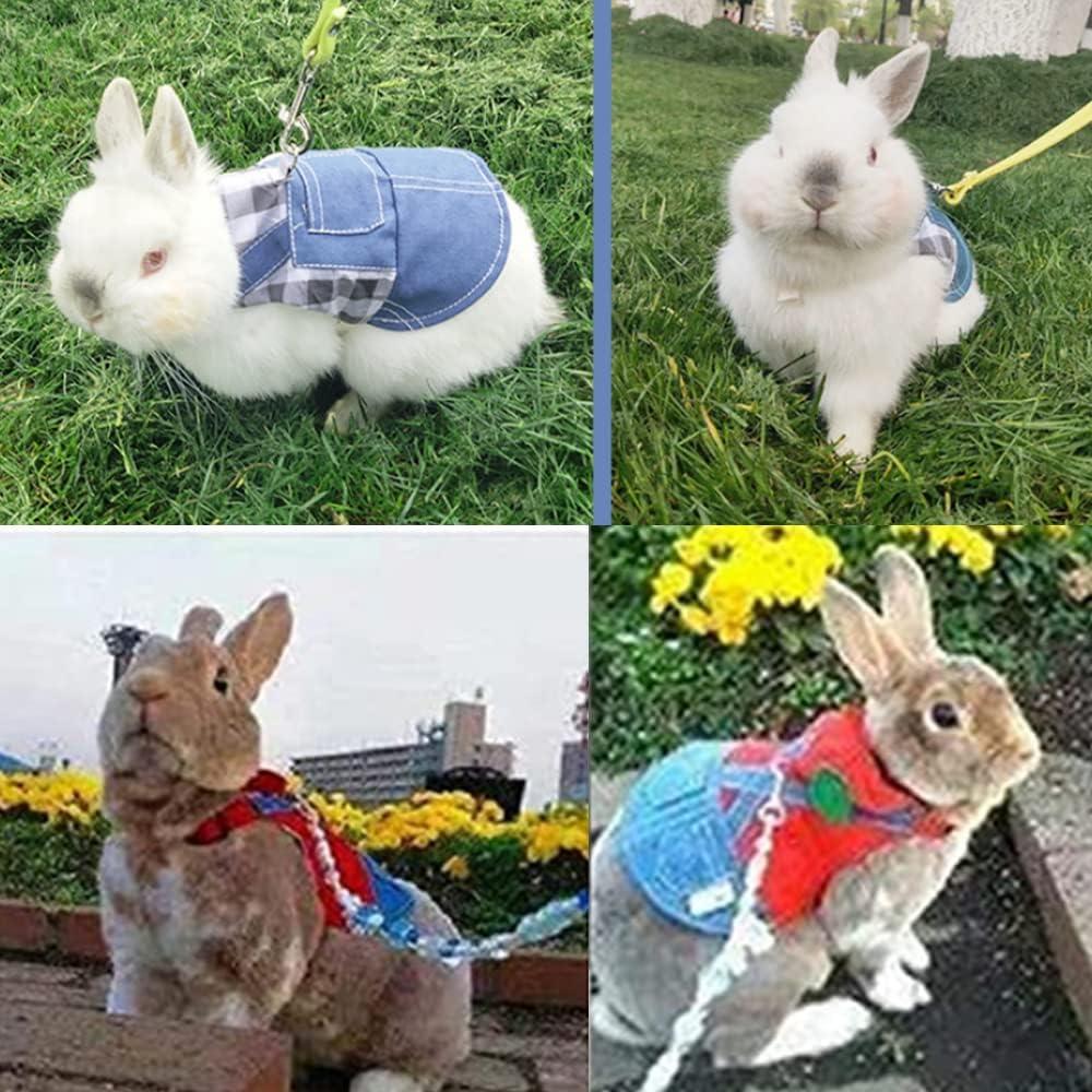 Conjunto Arnés y Correa para Conejos MERCRI Grande 2 PCS