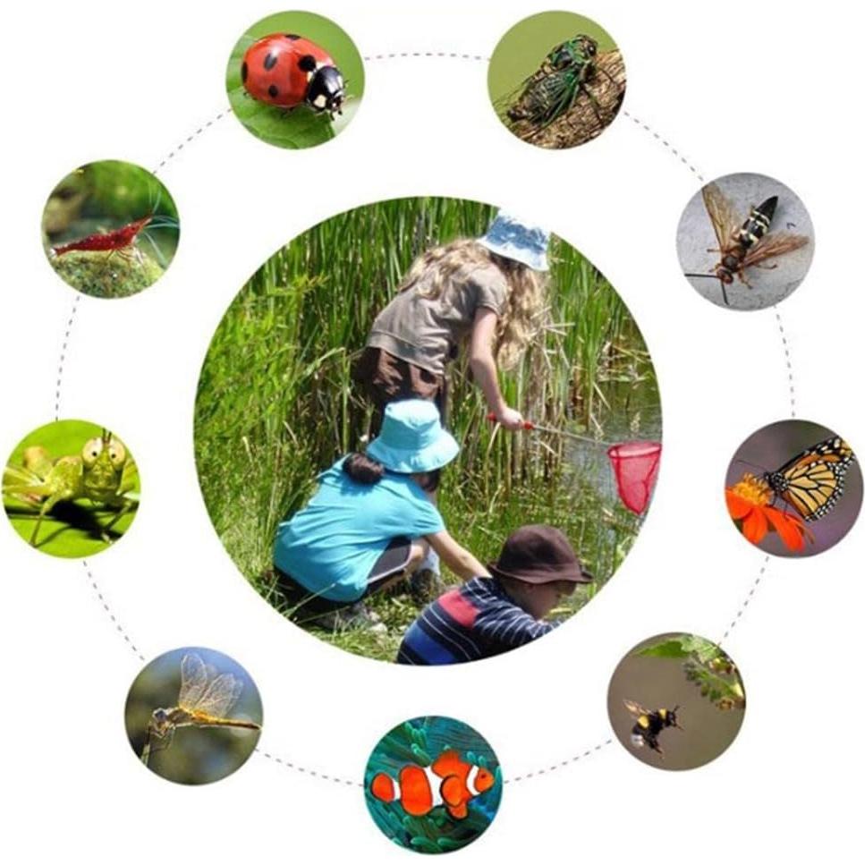 Red Telescópica para Niños FashionCha - Captura Insectos 85cm