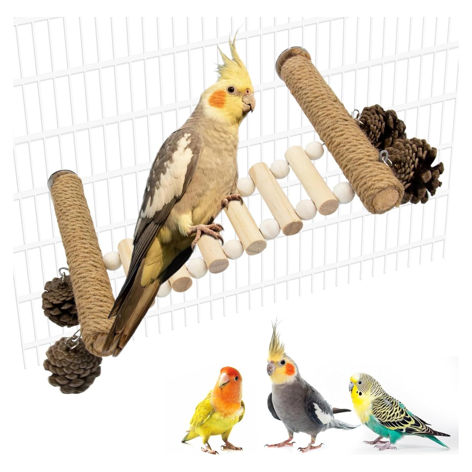 Escalera para Aves Jevnd con Juguetes de Piña 14x9x15.5cm