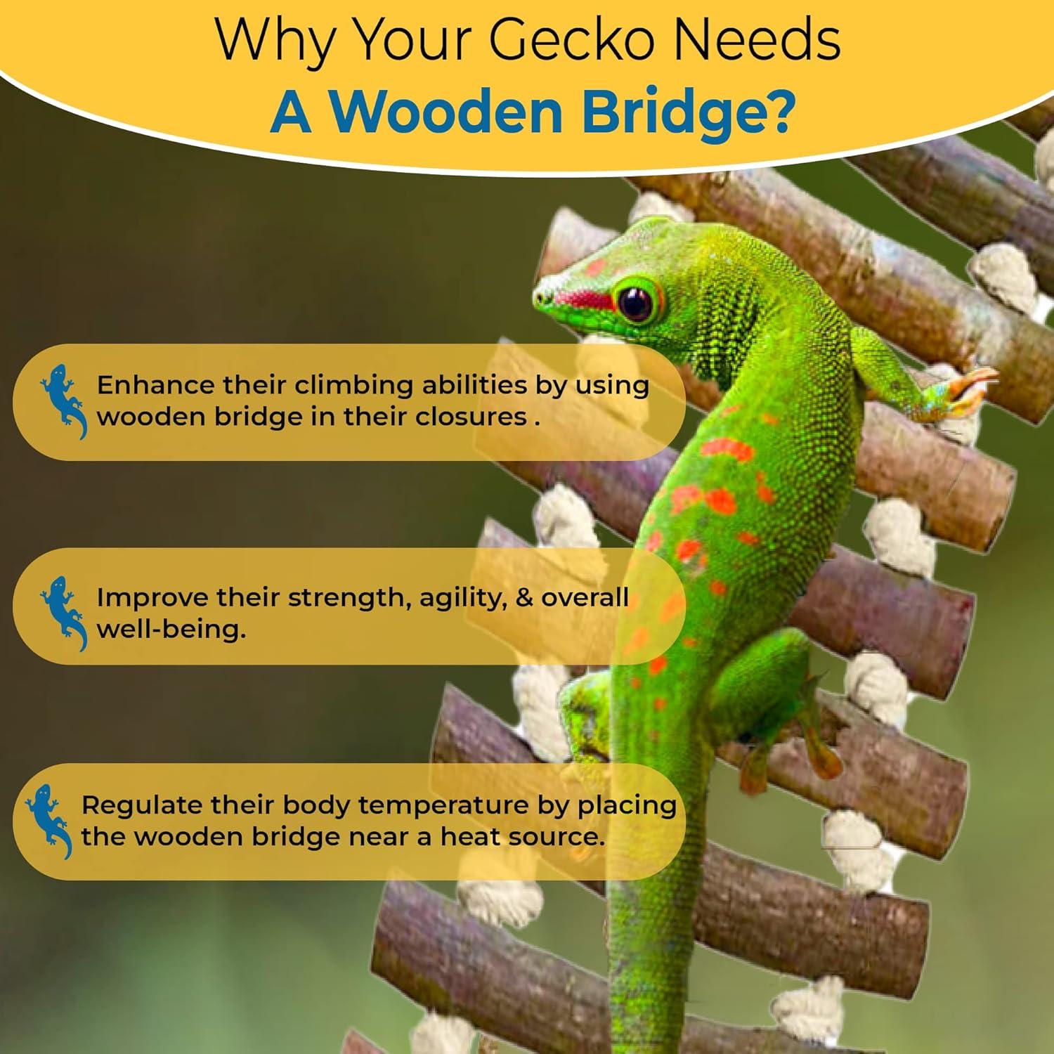 Puente de Escalera de Madera SunGrow para Gecko 35.6 x 7.6 cm