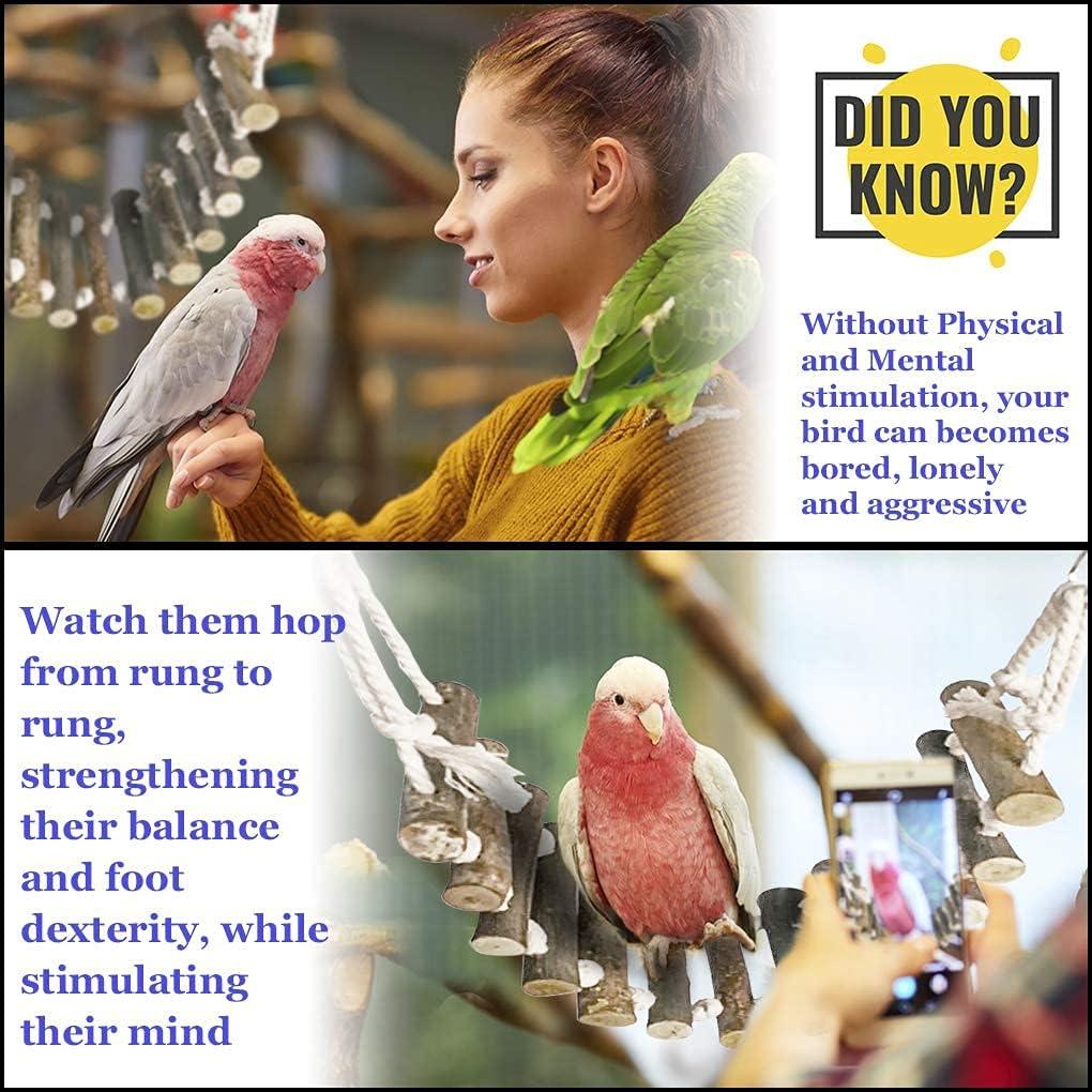 Puente de Escalera de Madera SunGrow para Gecko 35.6 x 7.6 cm