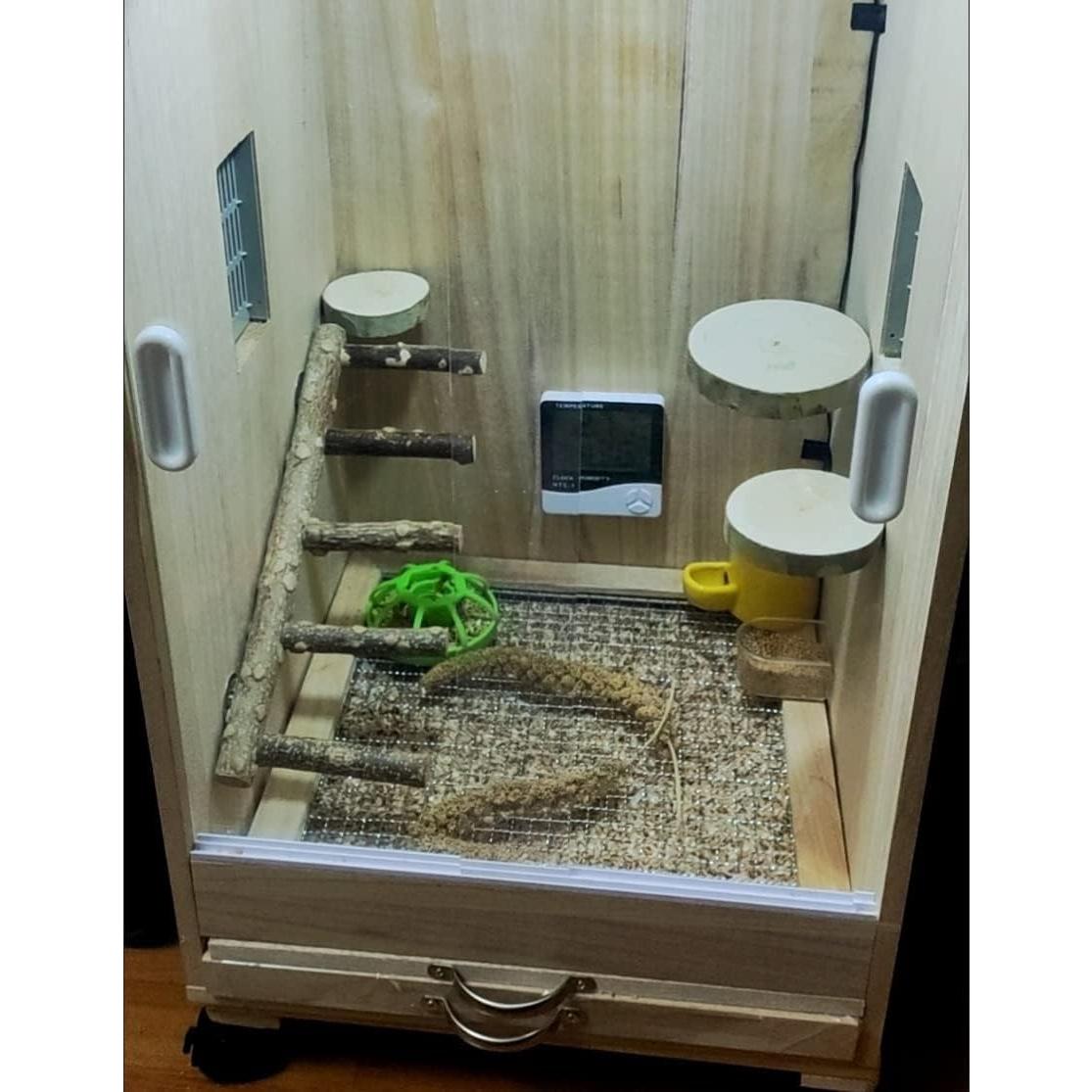 Percha de Madera Natural para Aves y Hámsters - 30.99 cm