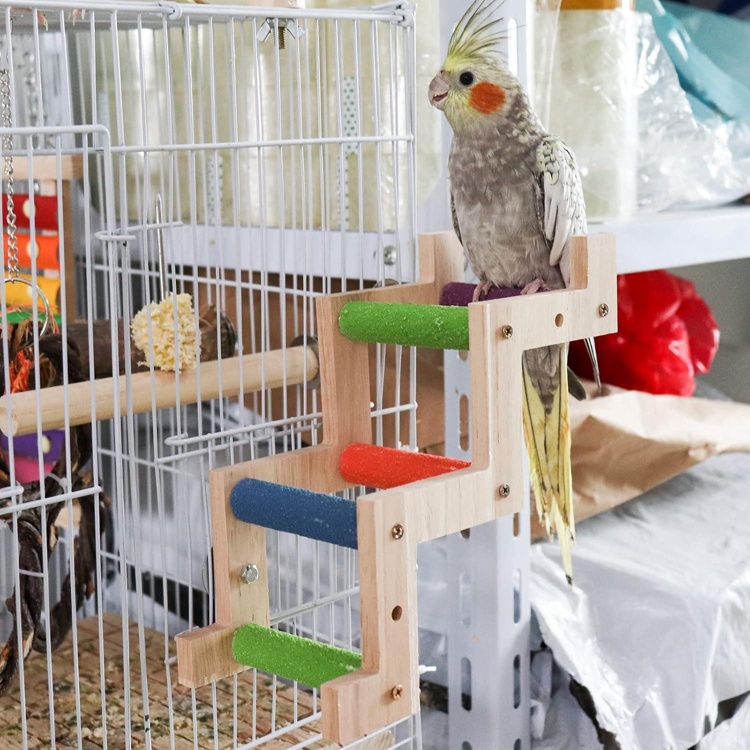 Puente de Escalera Colorido para Aves y Hámsteres Dnoifne