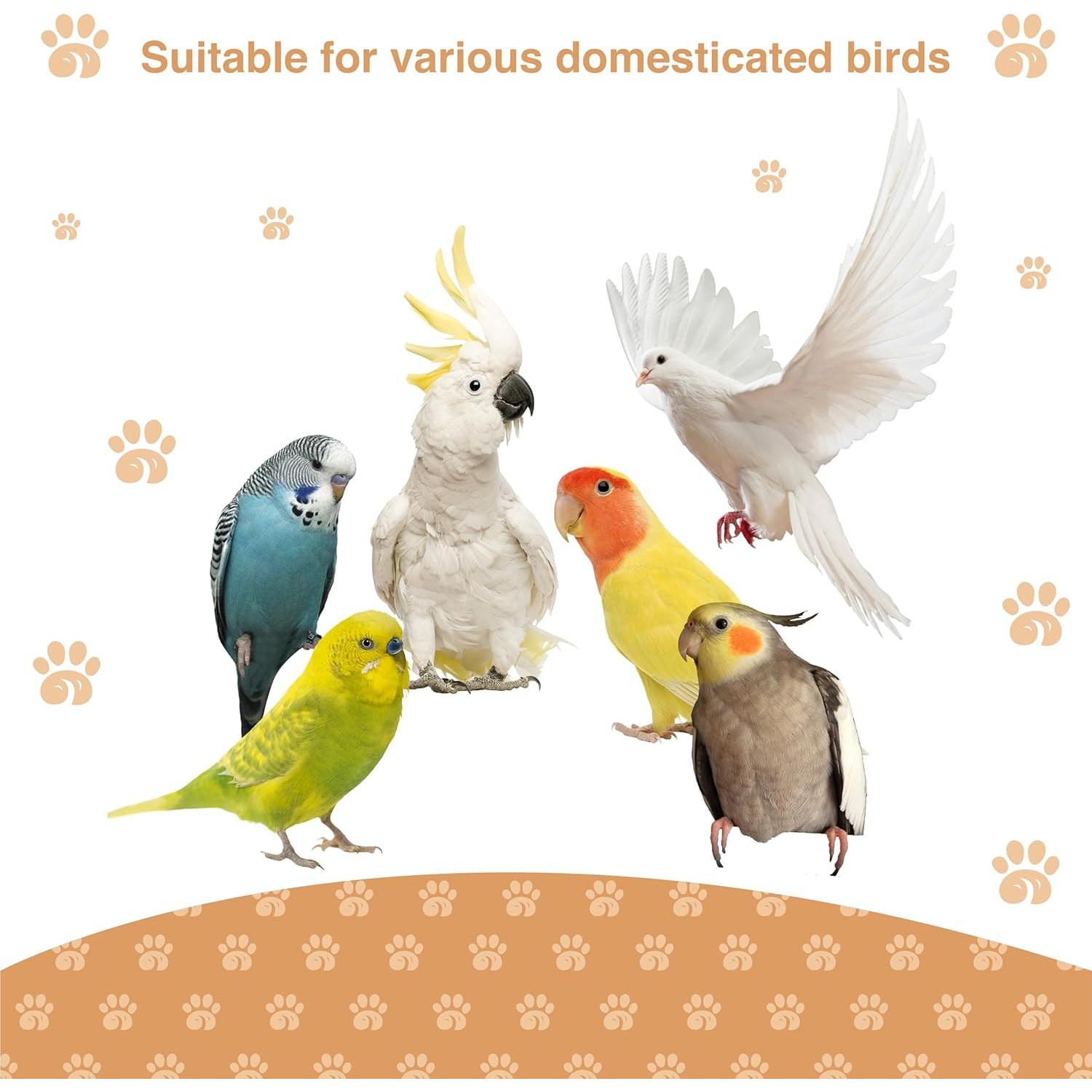 Percha de Escalera para Aves Wagably - Madera Natural 30.99x12.95cm