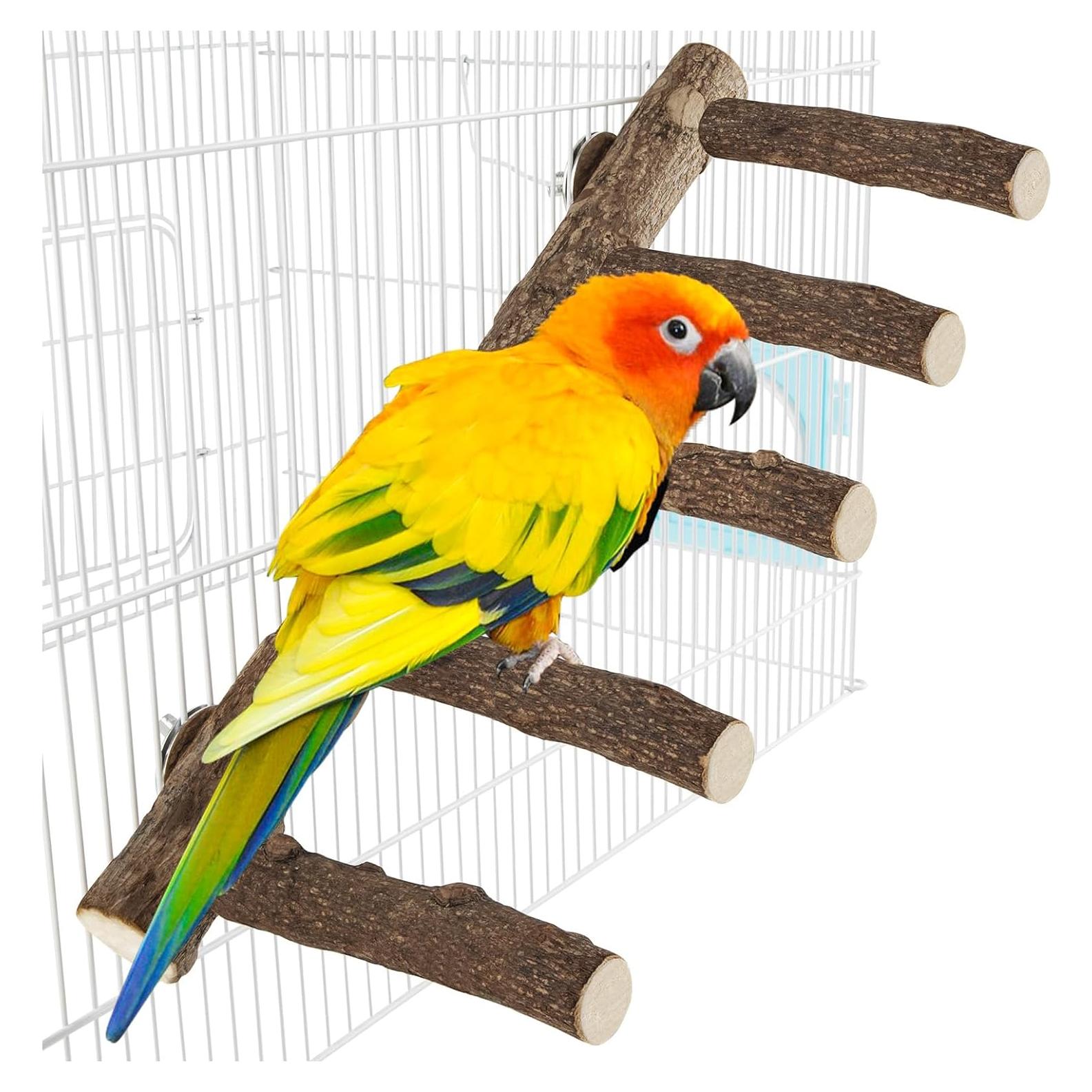 Soporte de Madera para Loros TORINALITAL 31 cm Escalera Natural