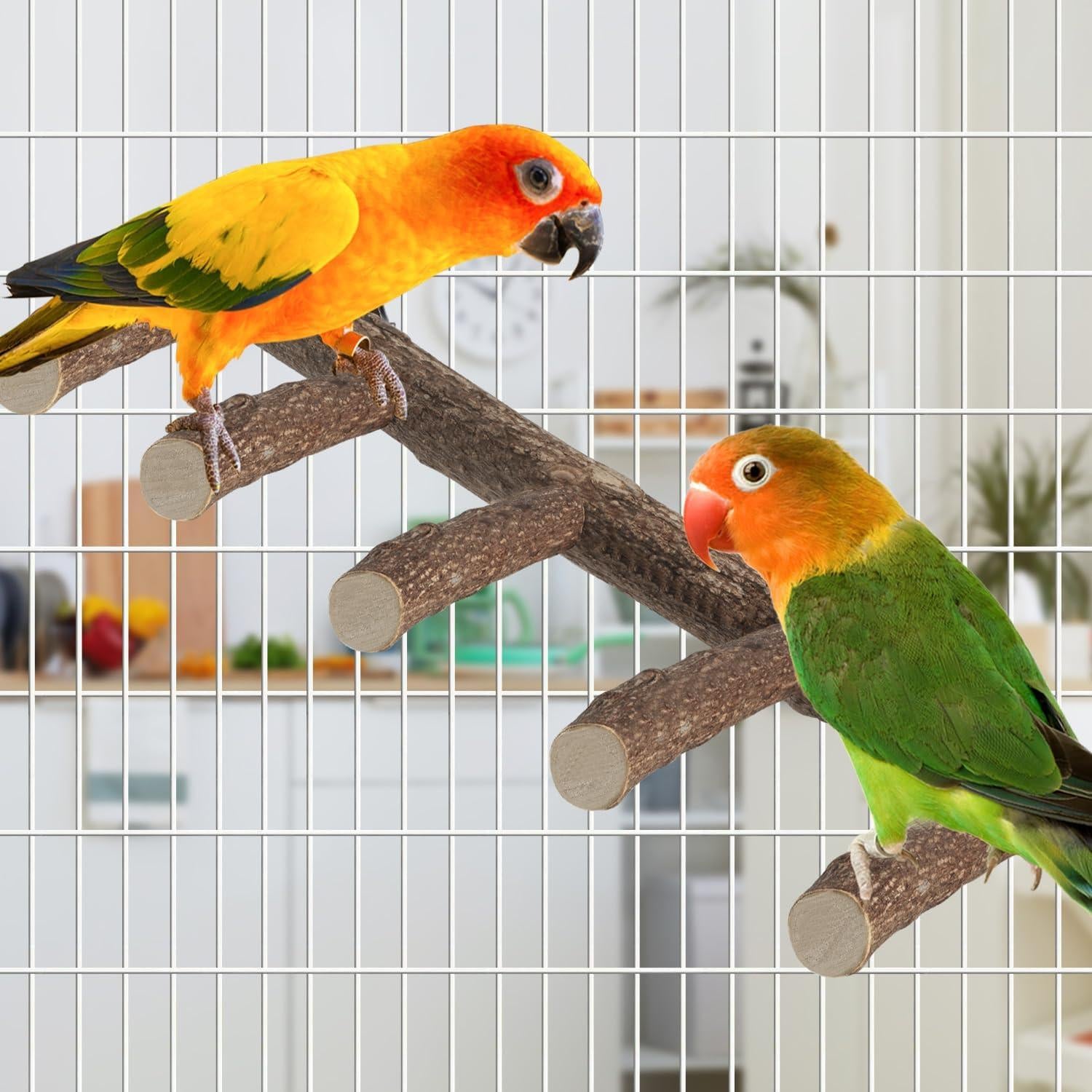 Soporte de Madera para Loros TORINALITAL 31 cm Escalera Natural