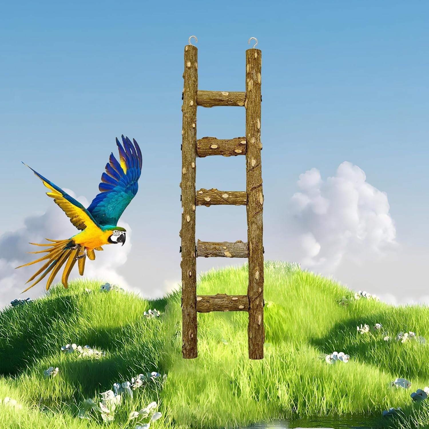 Escalera de Madera Natural para Aves FBIRDY - 3 Piezas