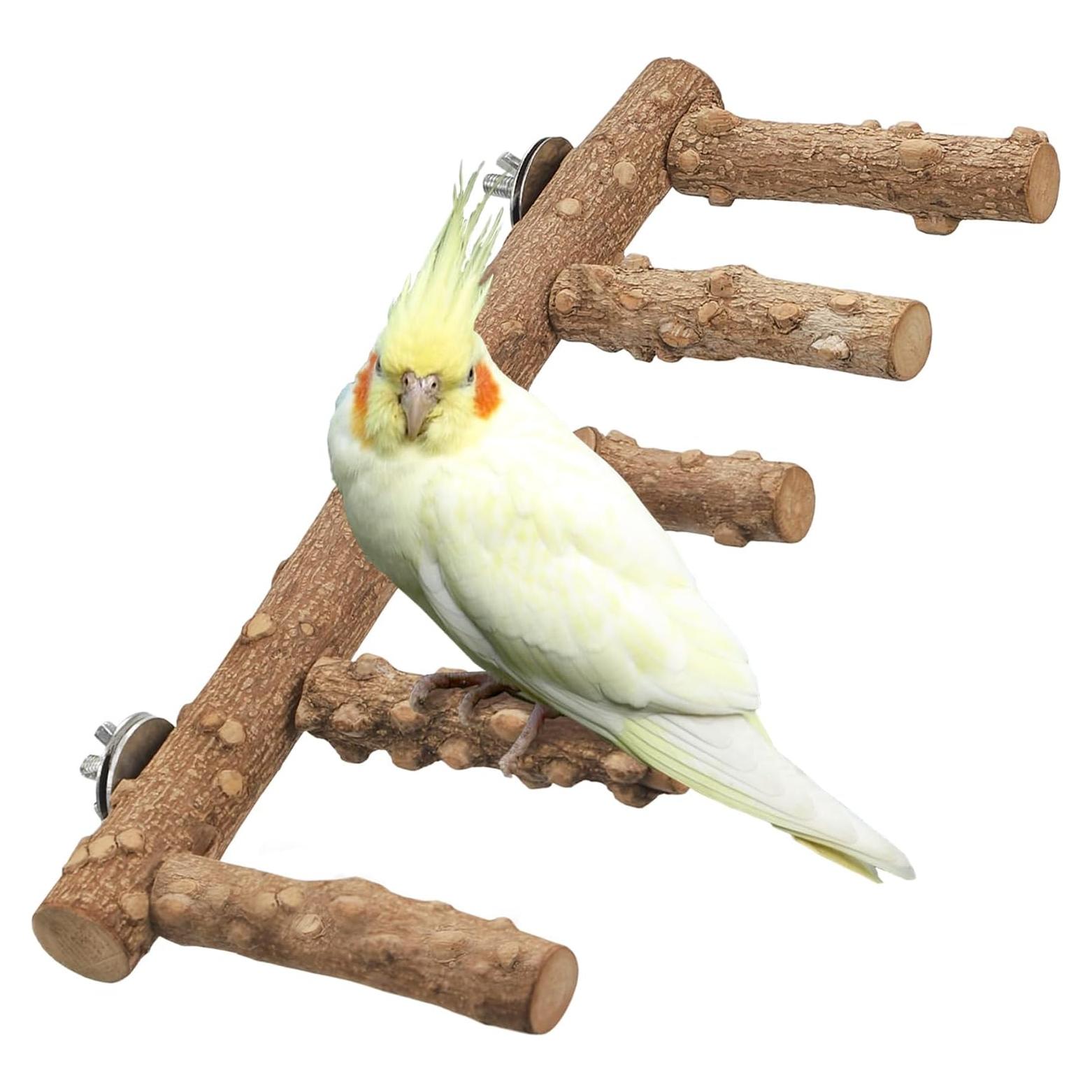 Escalera para Aves IBWell - 2 Soportes Naturales para Jaula