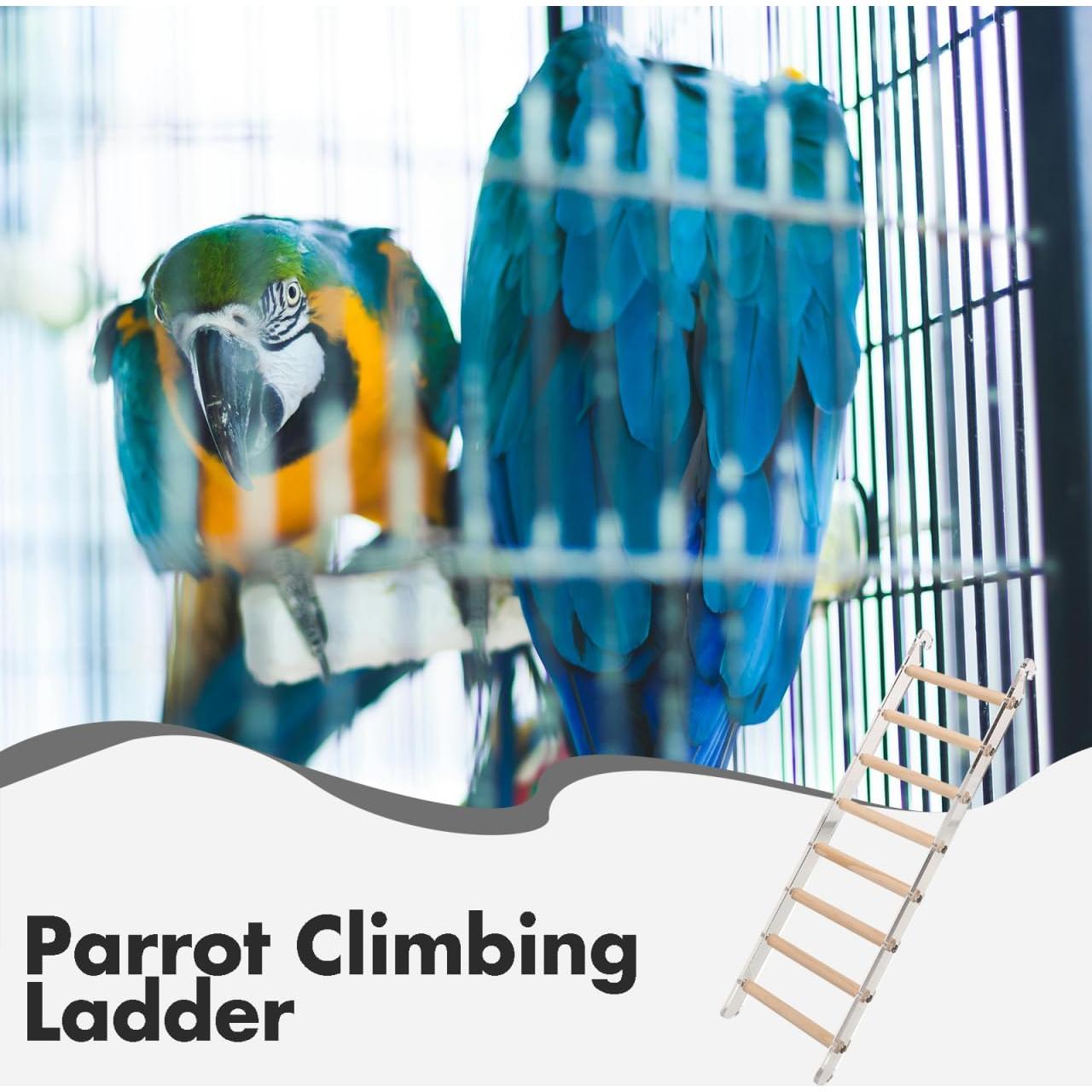 Escalera de Acrílico NOLITOY para Perros y Pájaros 8 Capas