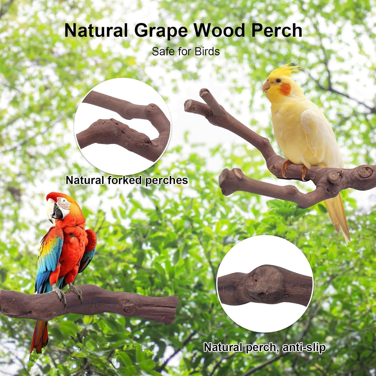 6 Perchas Naturales para Aves Autokcan - Madera de Uva