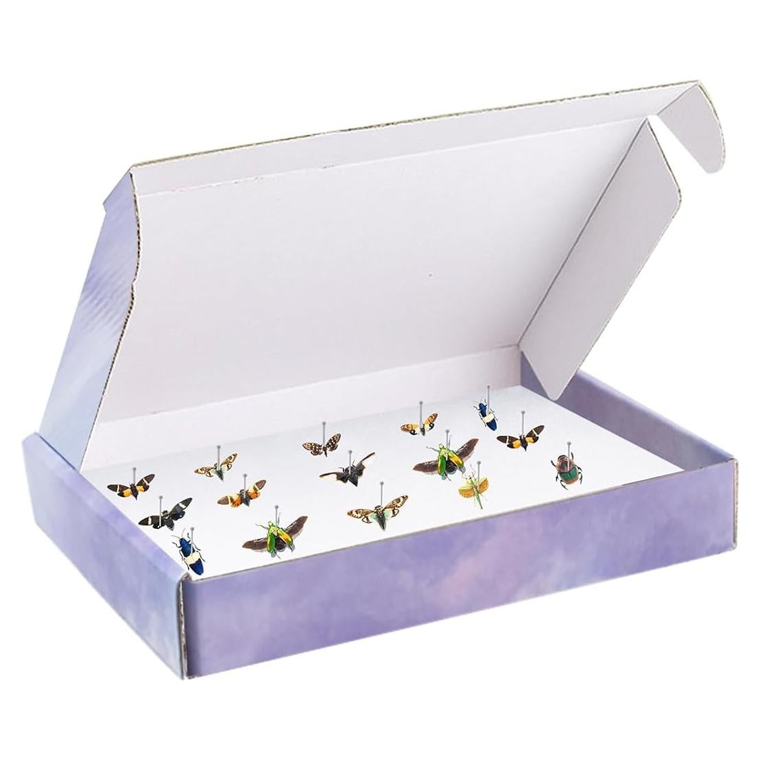 Kit de Aclimatación de Insectos QoTang - 4 Cajas 20x14 cm