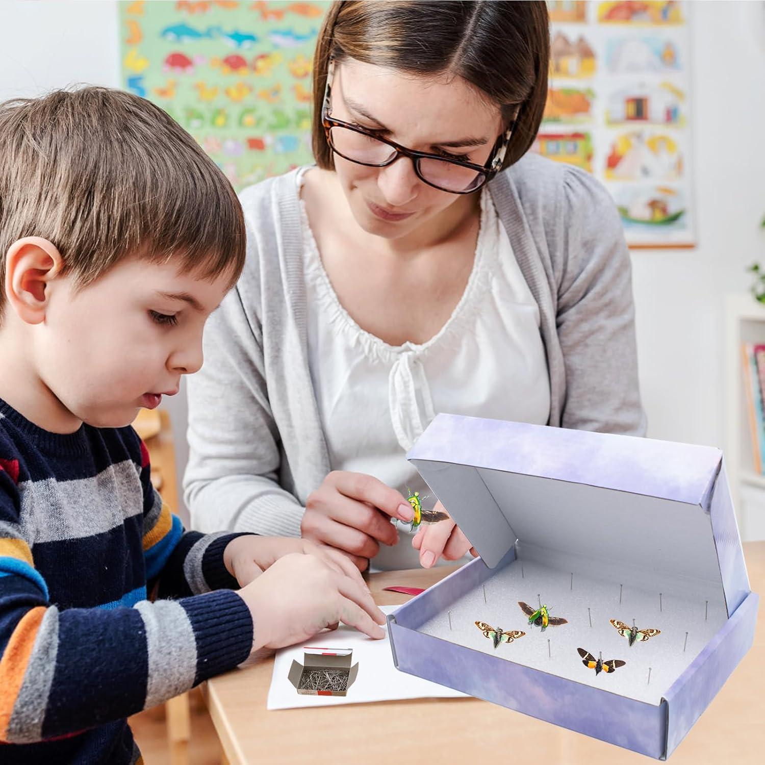 Kit de Aclimatación de Insectos QoTang - 4 Cajas 20x14 cm