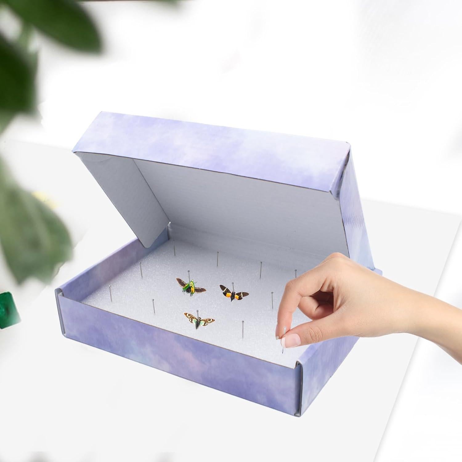 Kit de Aclimatación de Insectos QoTang - 4 Cajas 20x14 cm