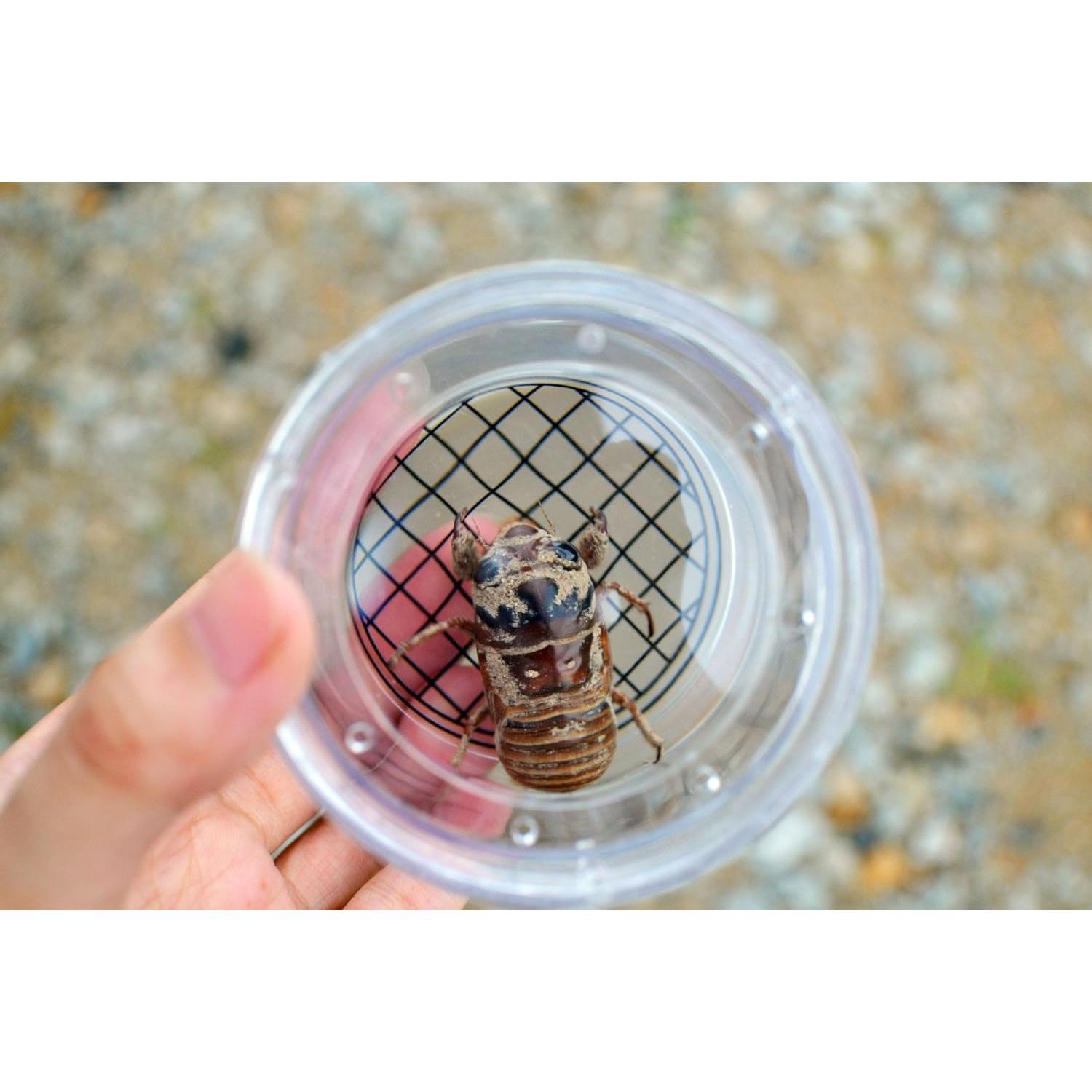 Juguete de Exploración de Insectos con Lupa ATP - 6 Paquetes